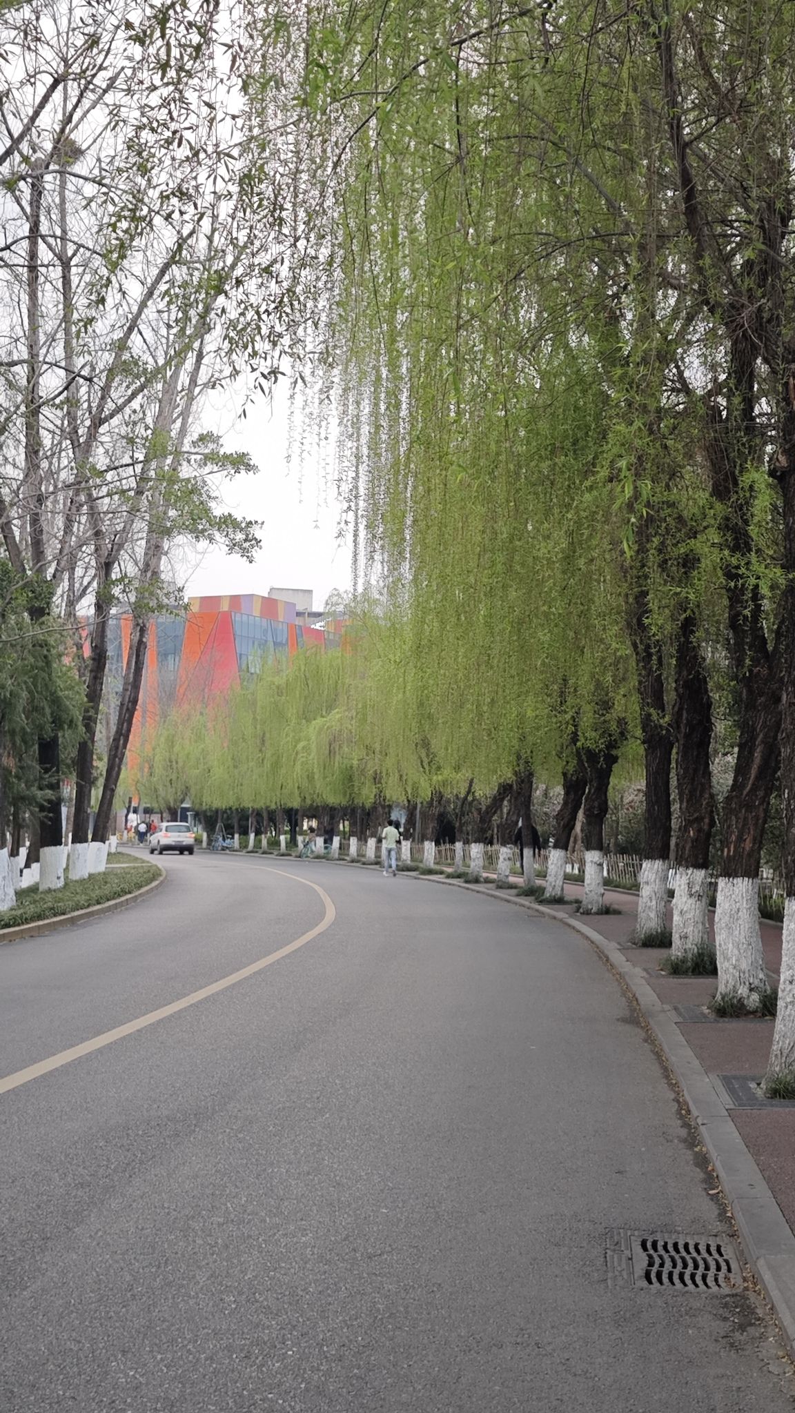 府河北公园旅行图片 1
