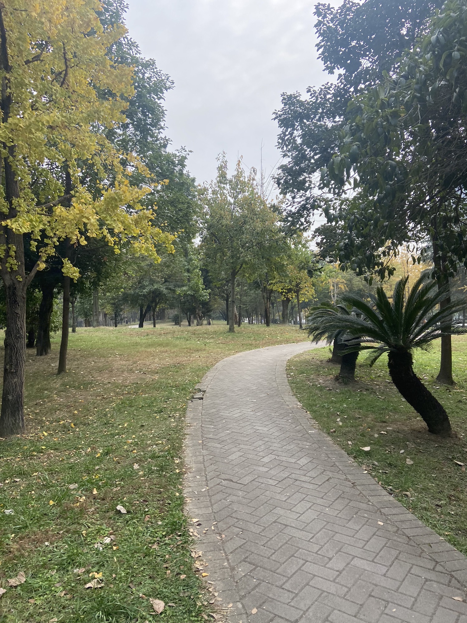 府河北公园旅行图片 1