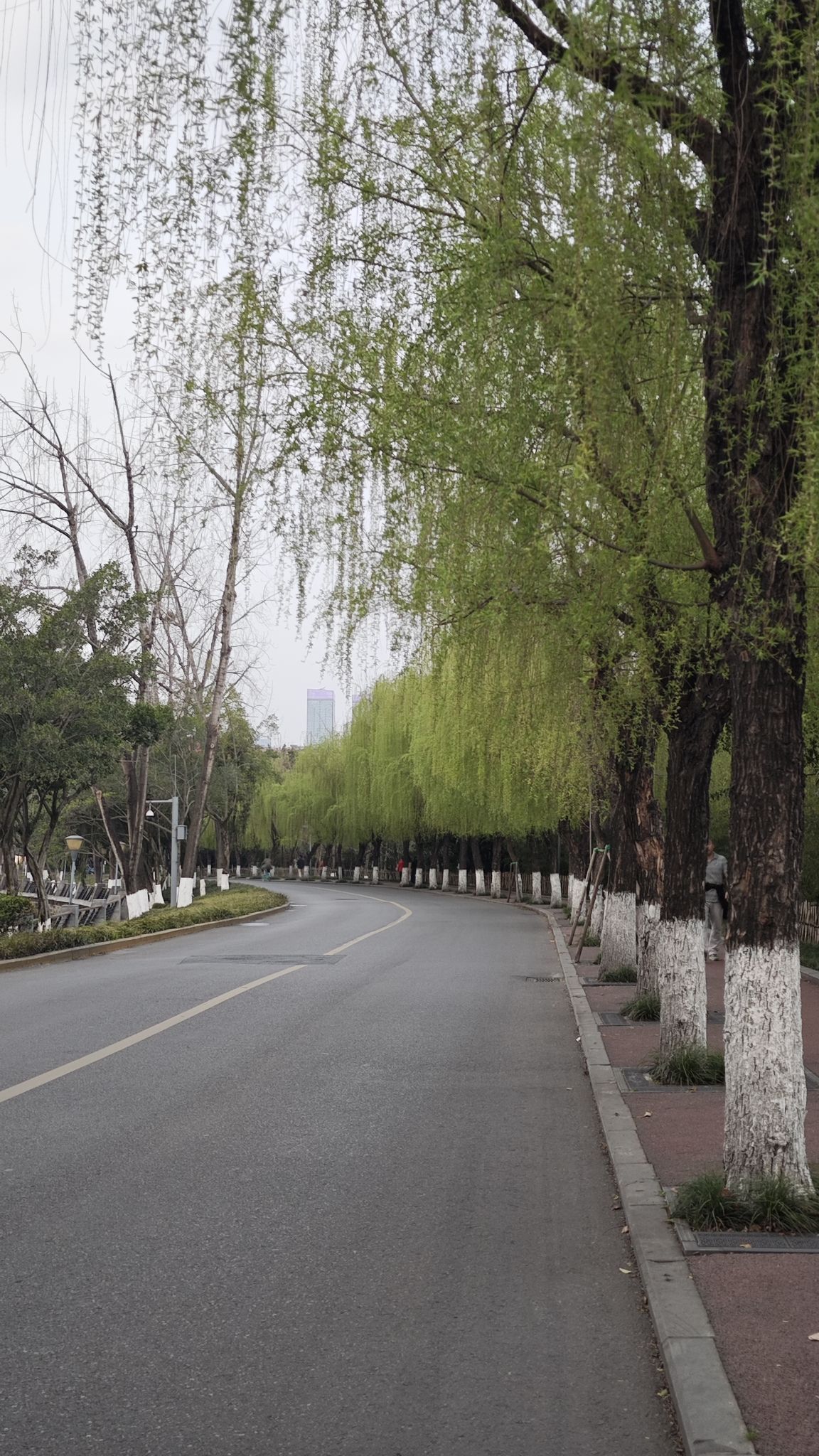 府河北公园旅行图片 2