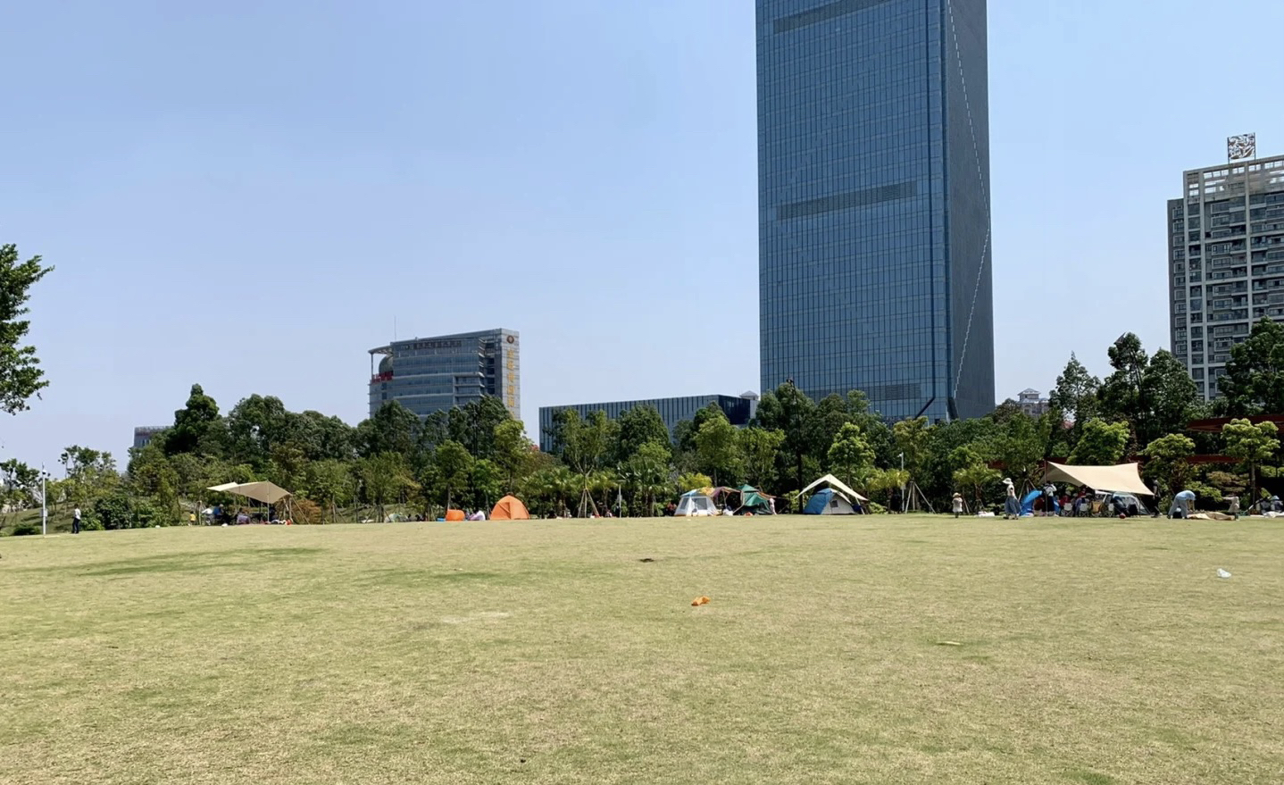 埌东公园旅行图片 2