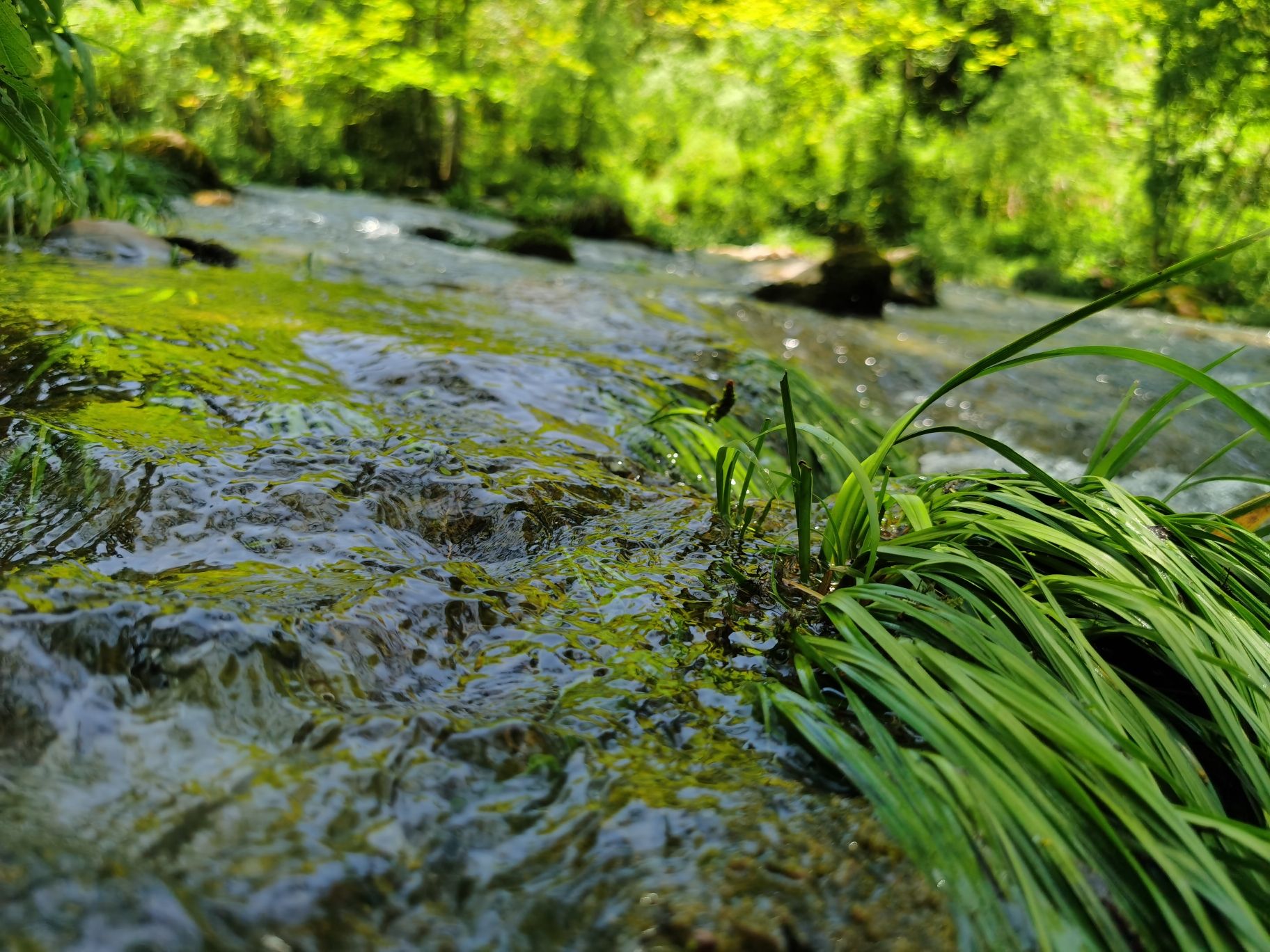 长潭瀑布旅行图片 3