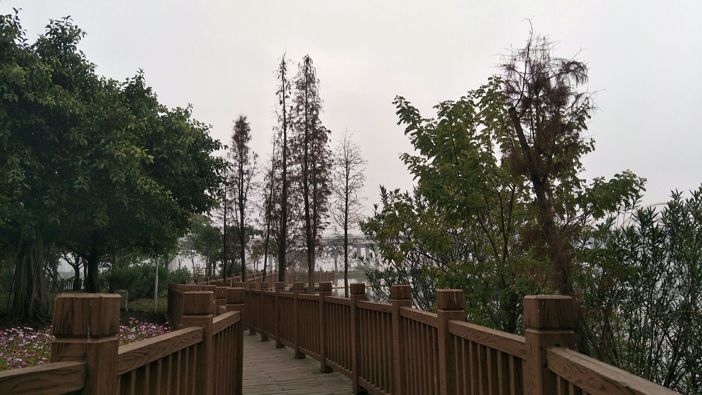 鳄渡公园旅行图片 3
