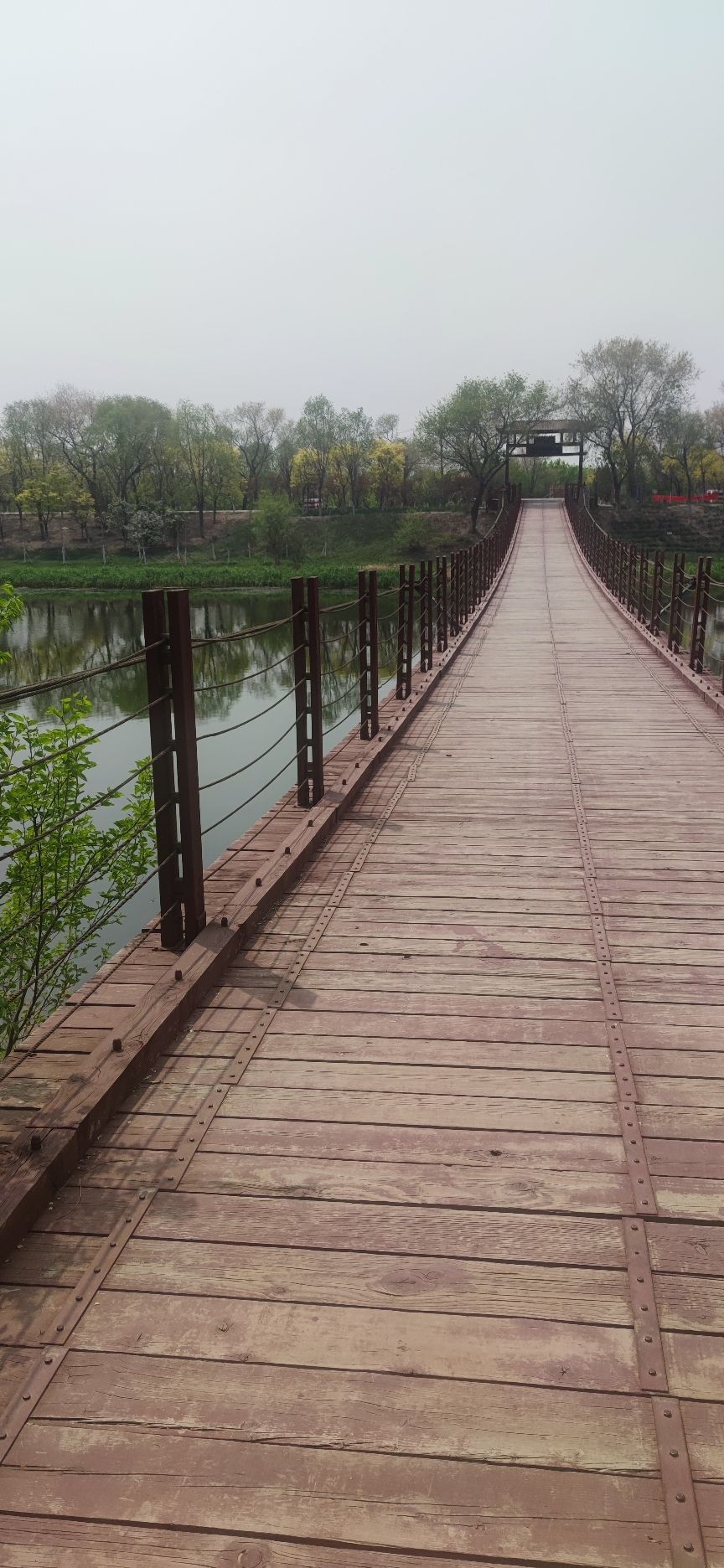 赤土吊桥旅行图片 1