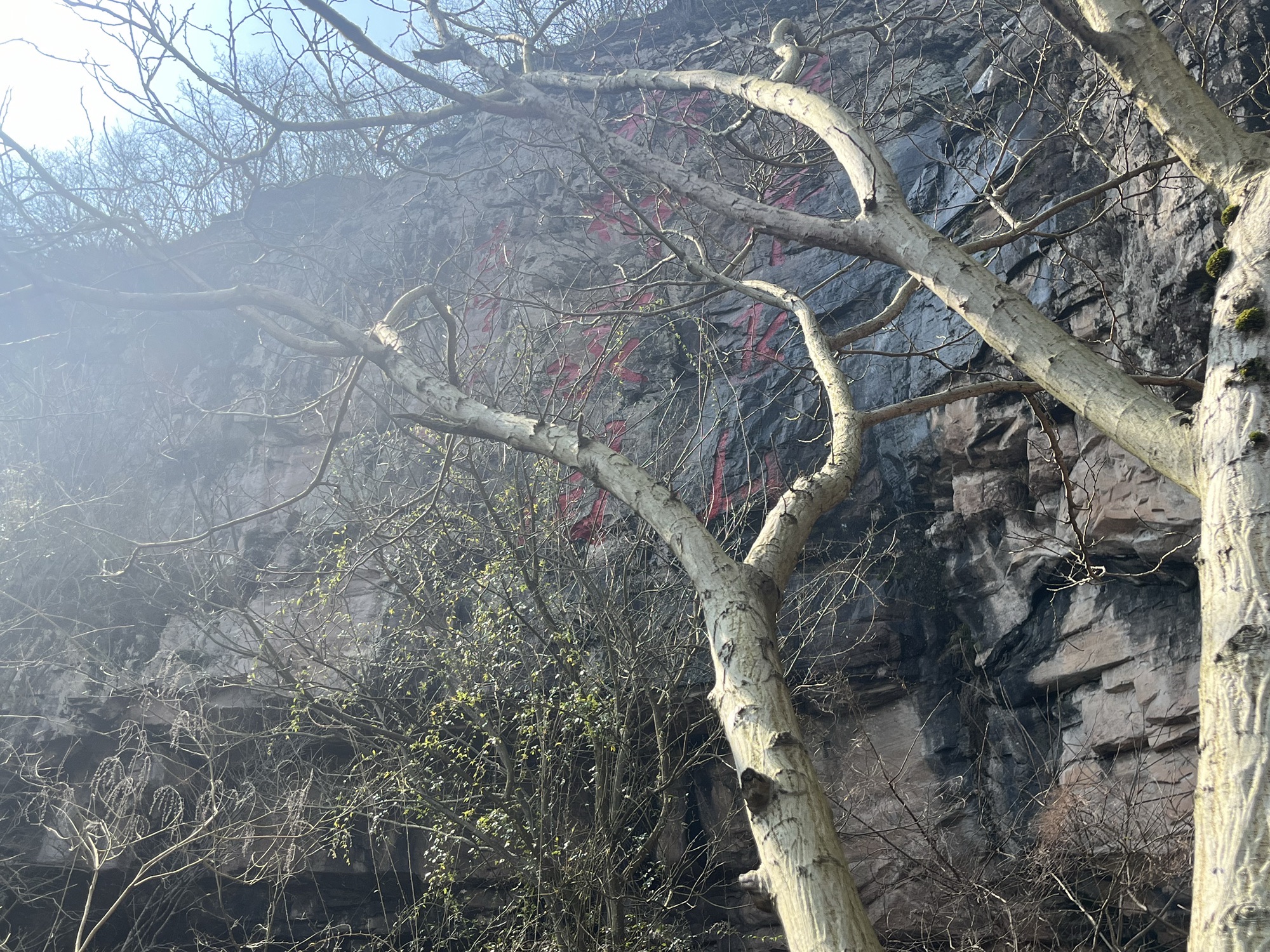 飞山寨旅行图片 3
