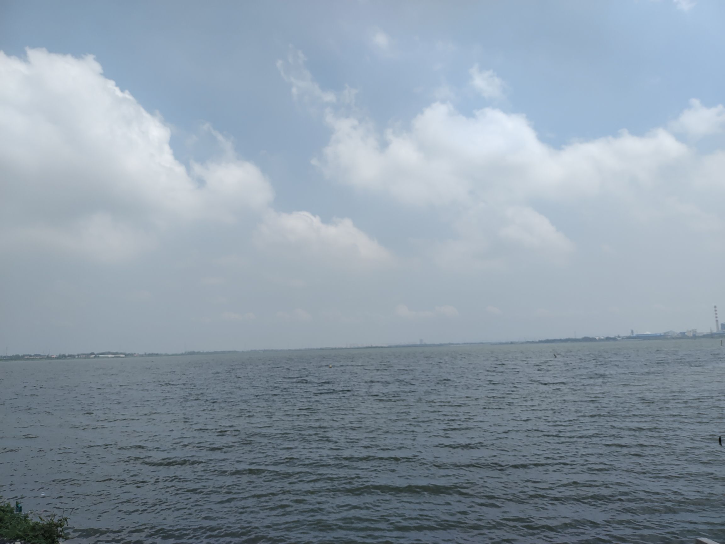 柳清湖湿地公园旅行图片 2