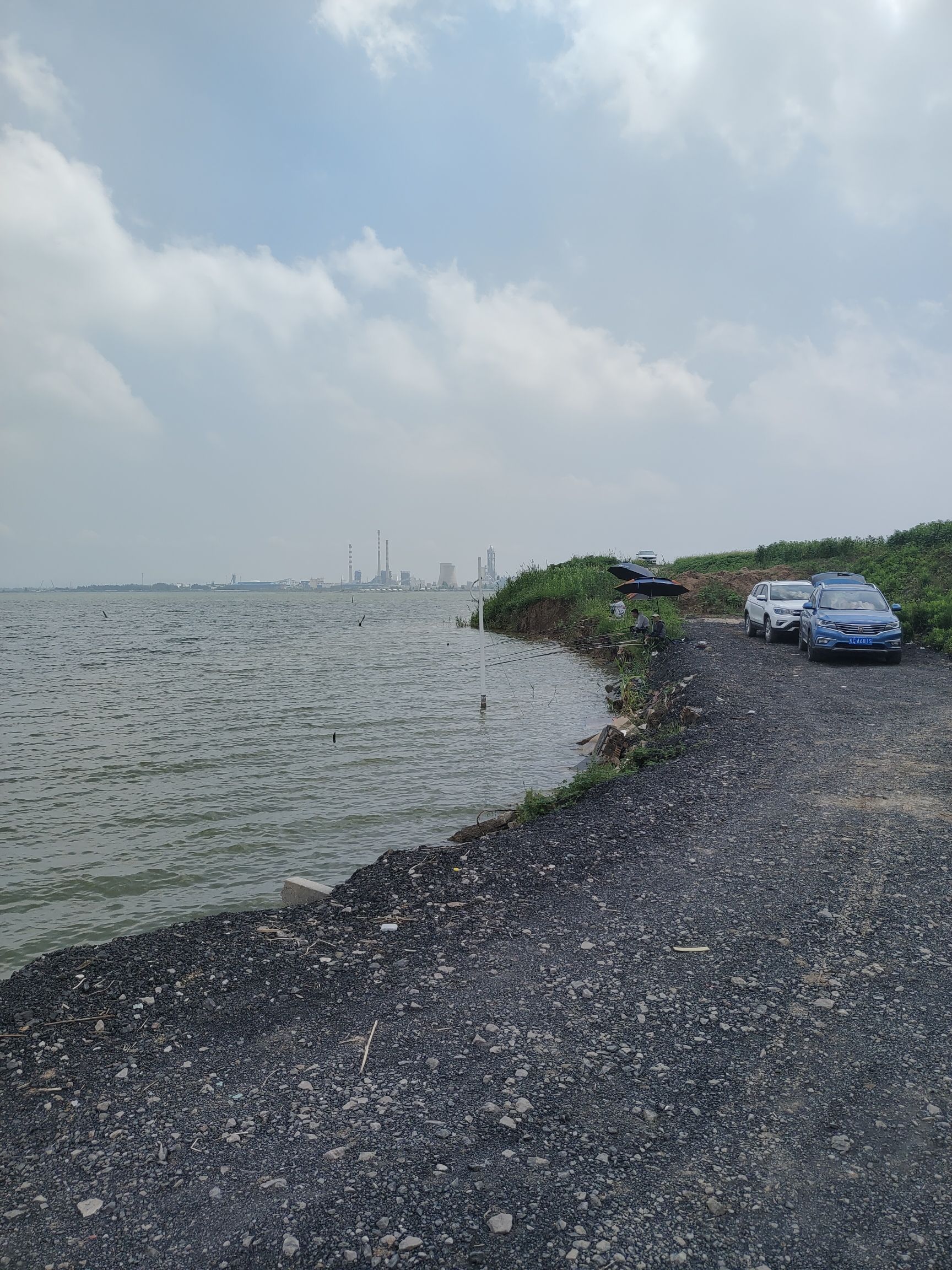 柳清湖湿地公园旅行图片 1