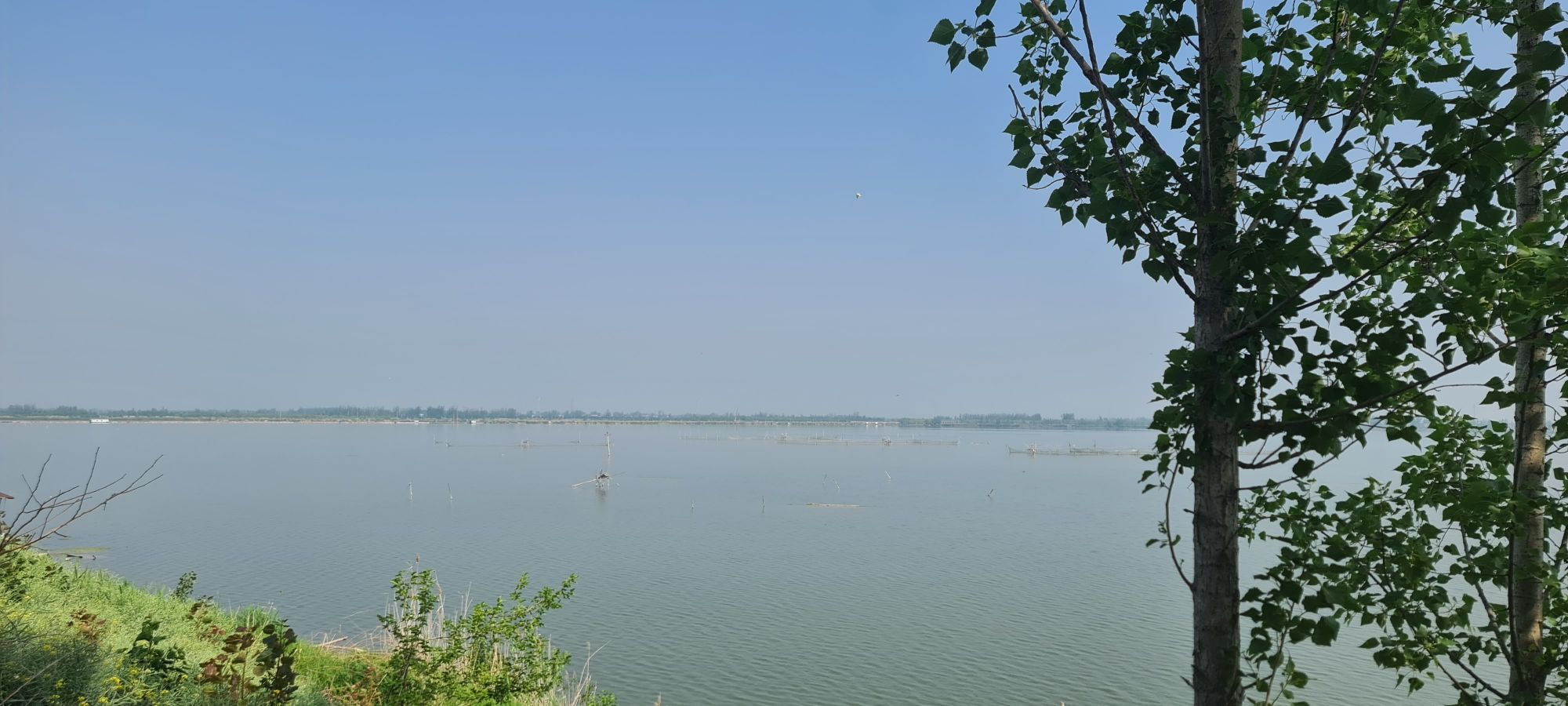 柳清湖湿地公园旅行图片 2