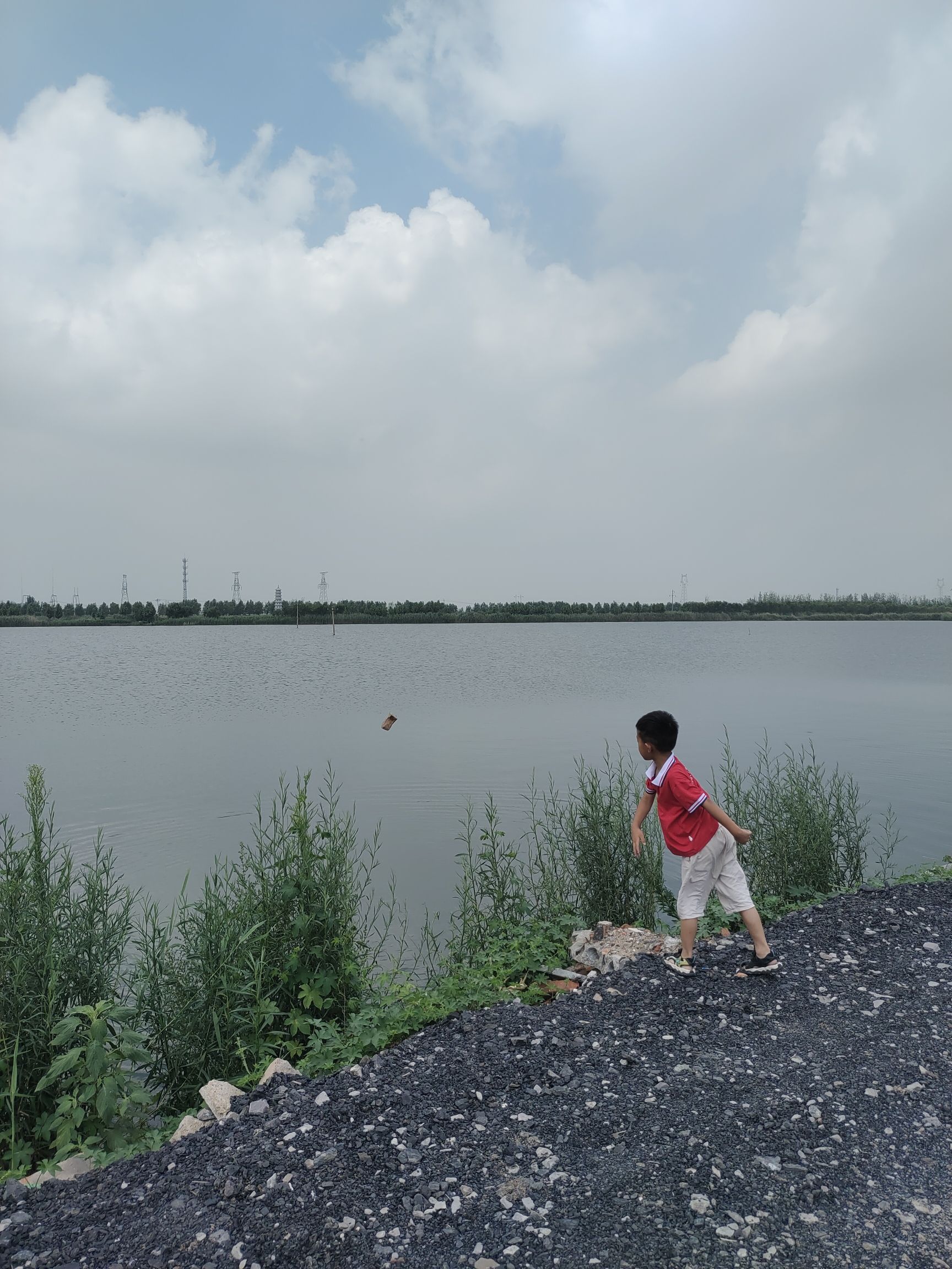 柳清湖湿地公园旅行图片 3