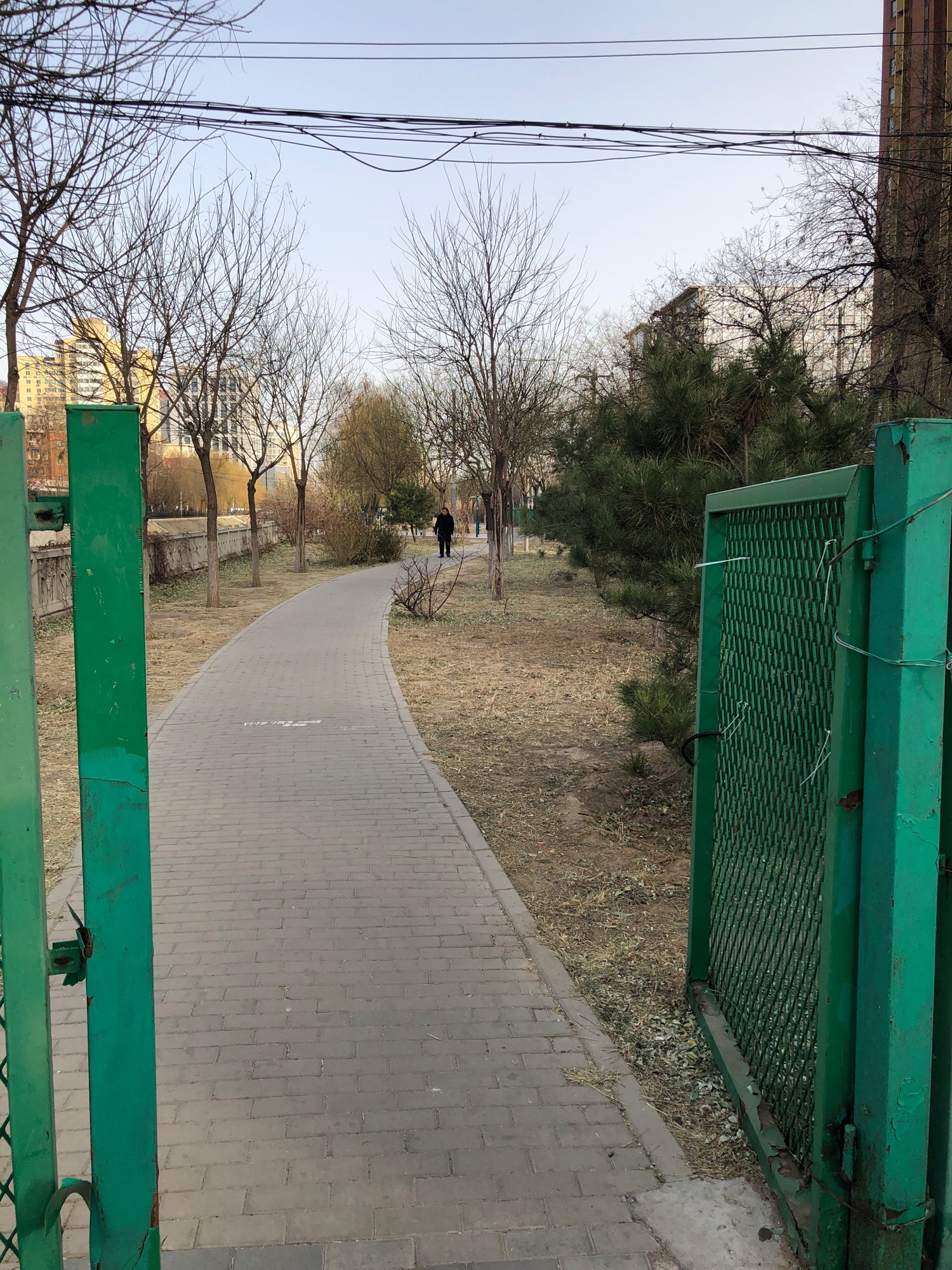 旱河文化广场旅行图片 1