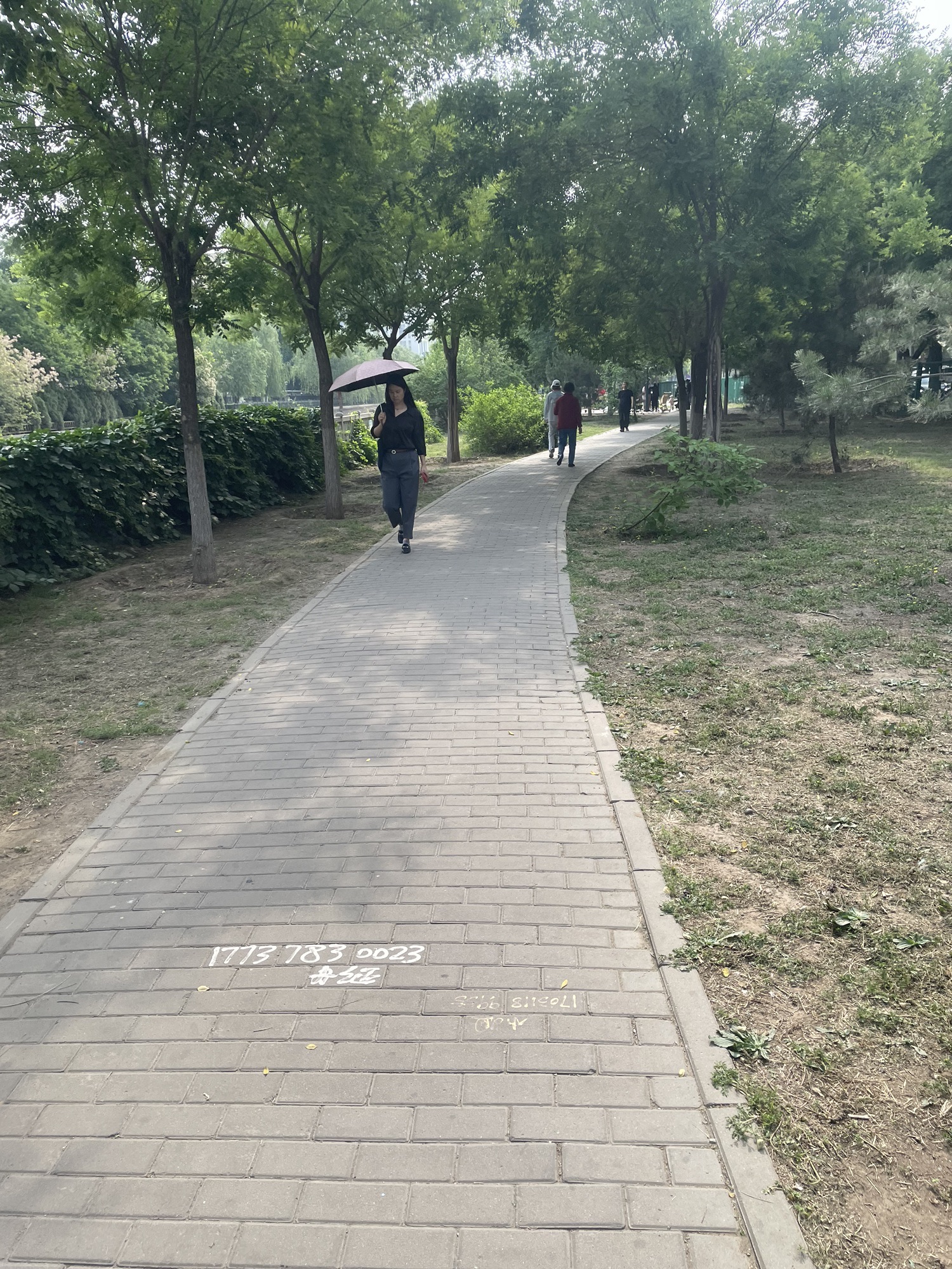 旱河文化广场旅行图片 3
