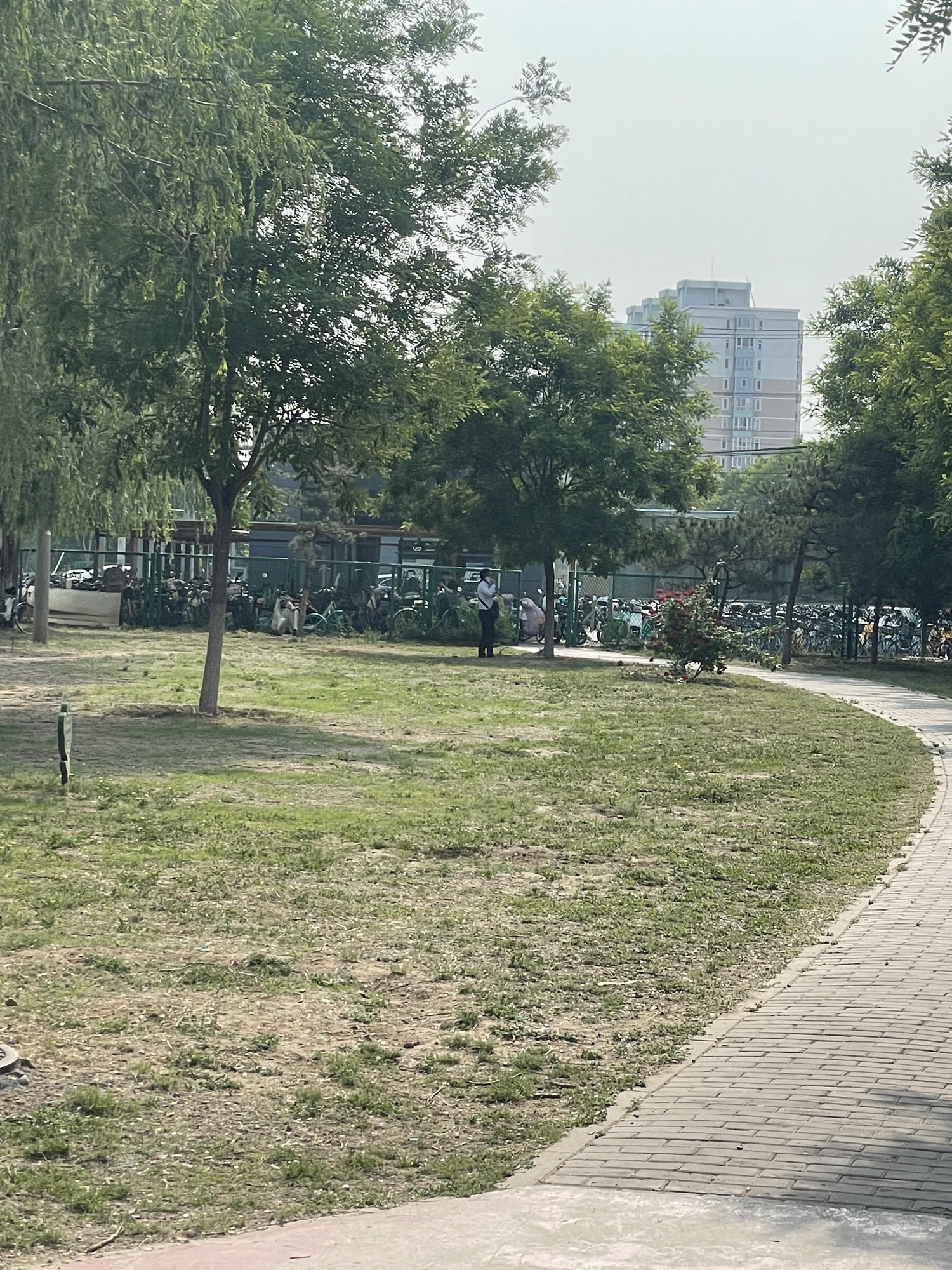 旱河文化广场旅行图片 2
