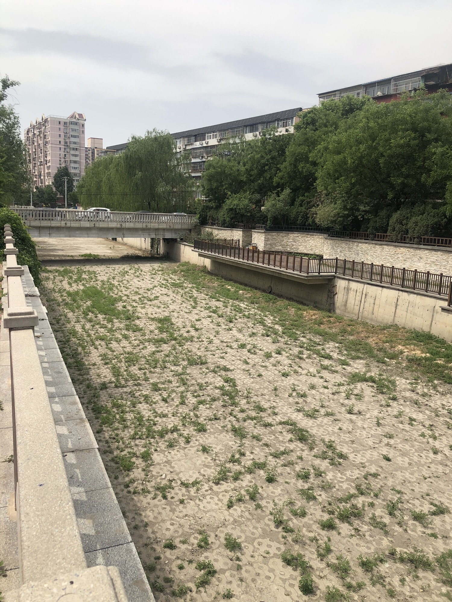 旱河文化广场旅行图片 2