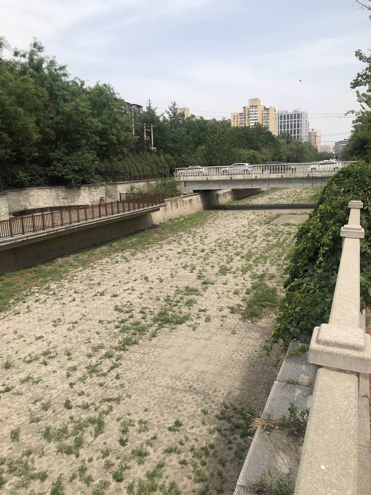 旱河文化广场旅行图片 3