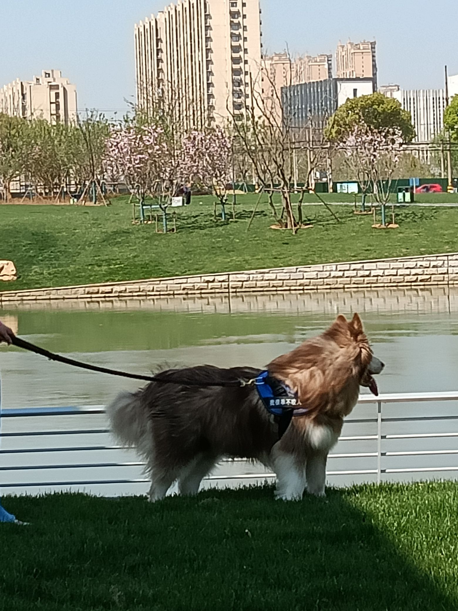 锡澄运河公园旅行图片 3