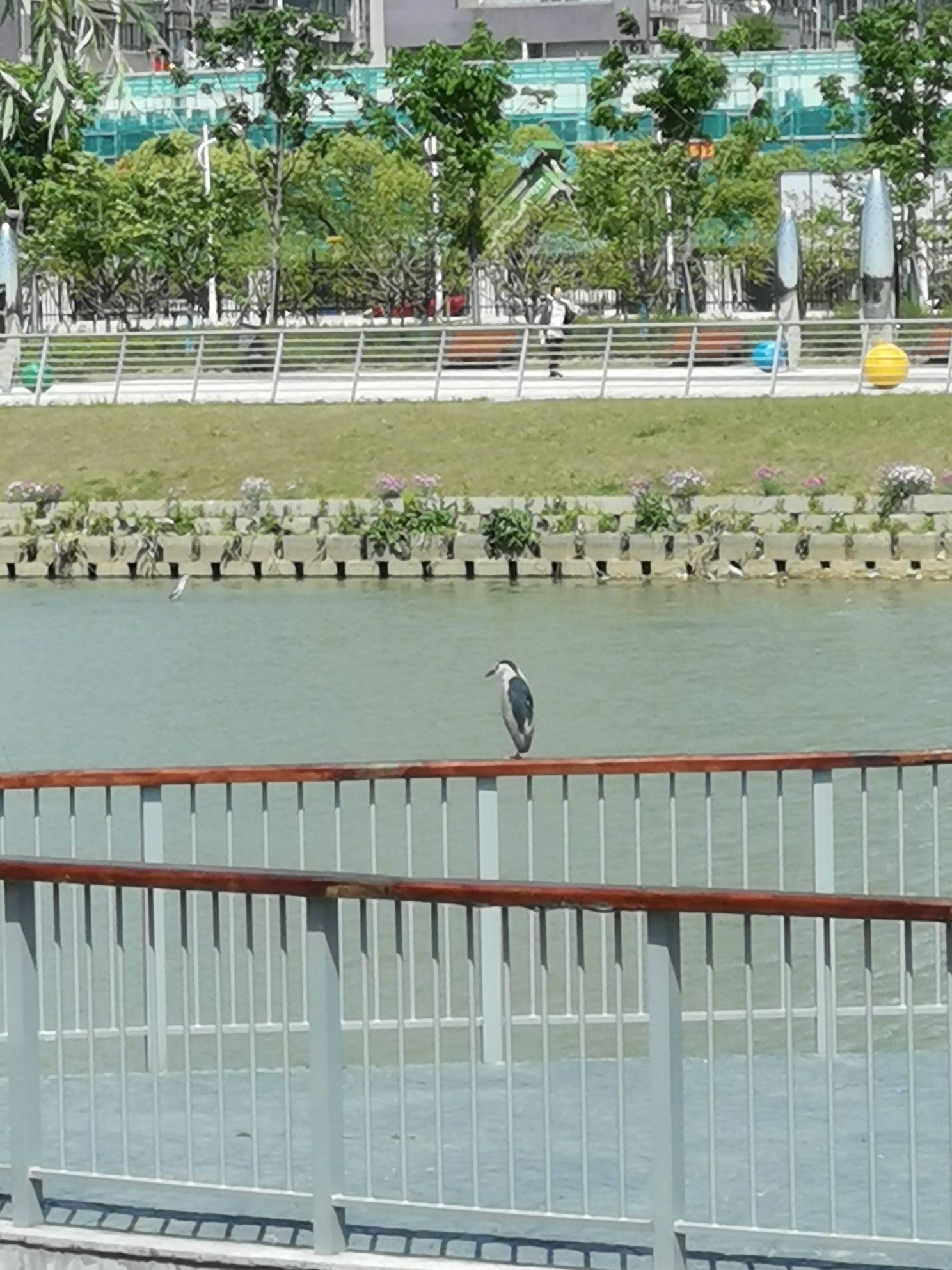 锡澄运河公园旅行图片 1