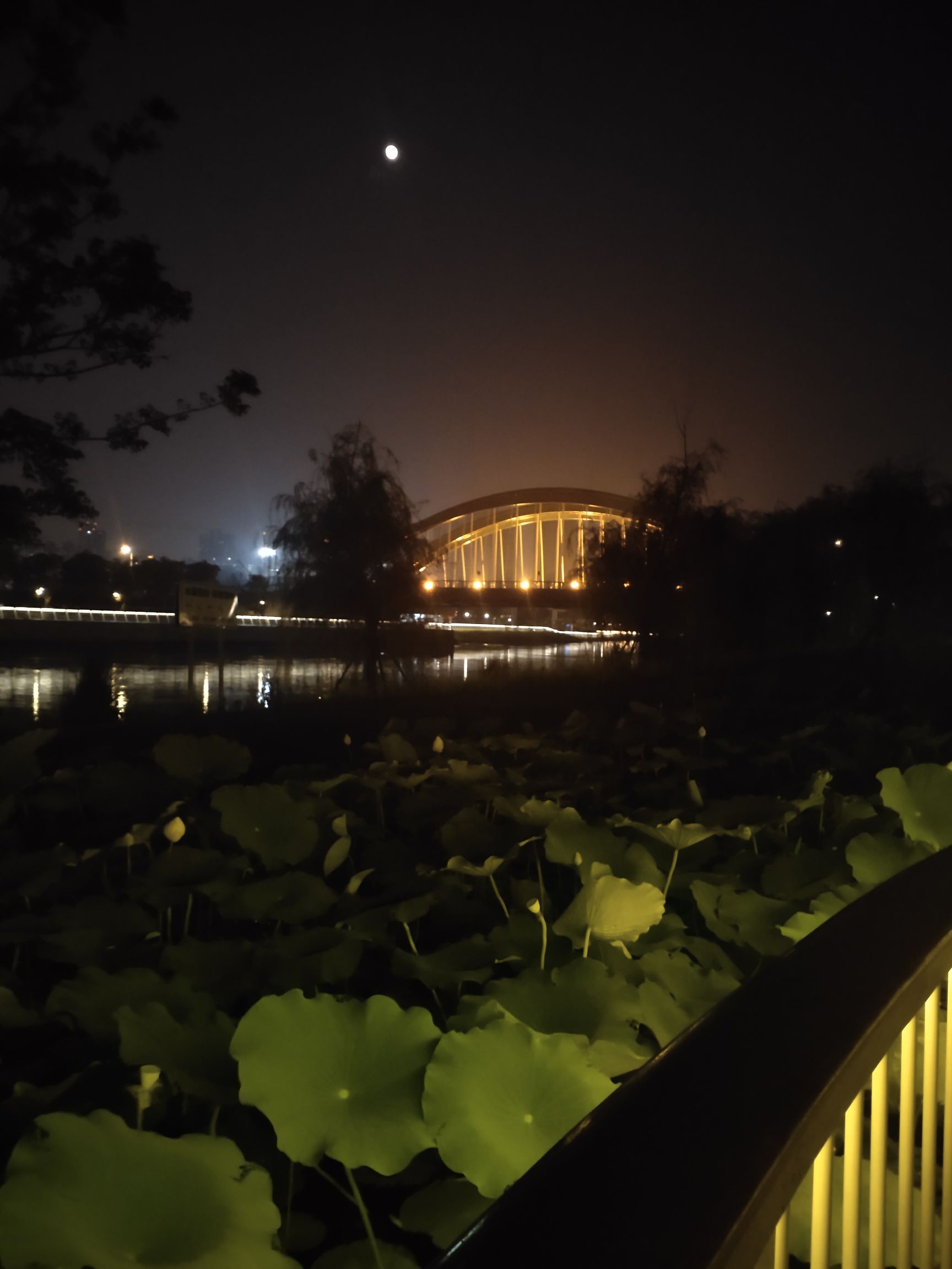 锡澄运河公园旅行图片 3