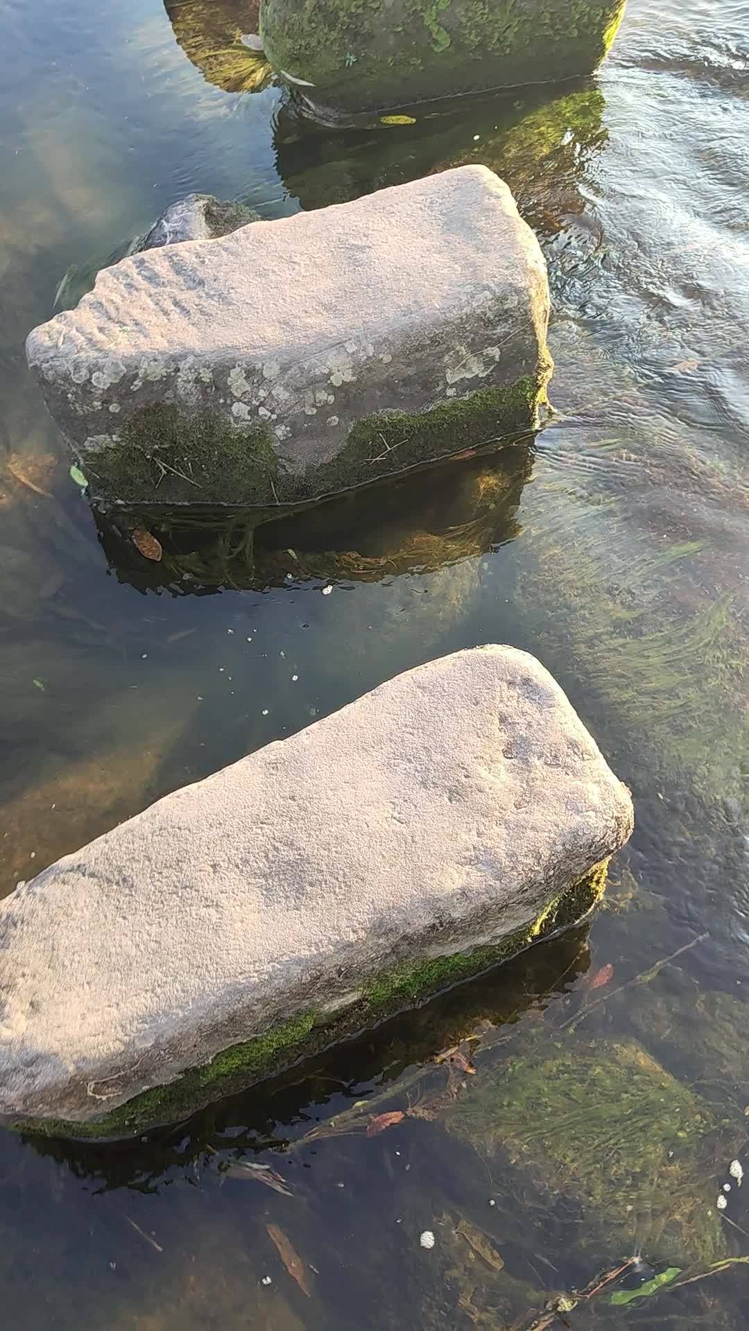 重庆市梁平区龙溪河-七里滩旅行图片 1
