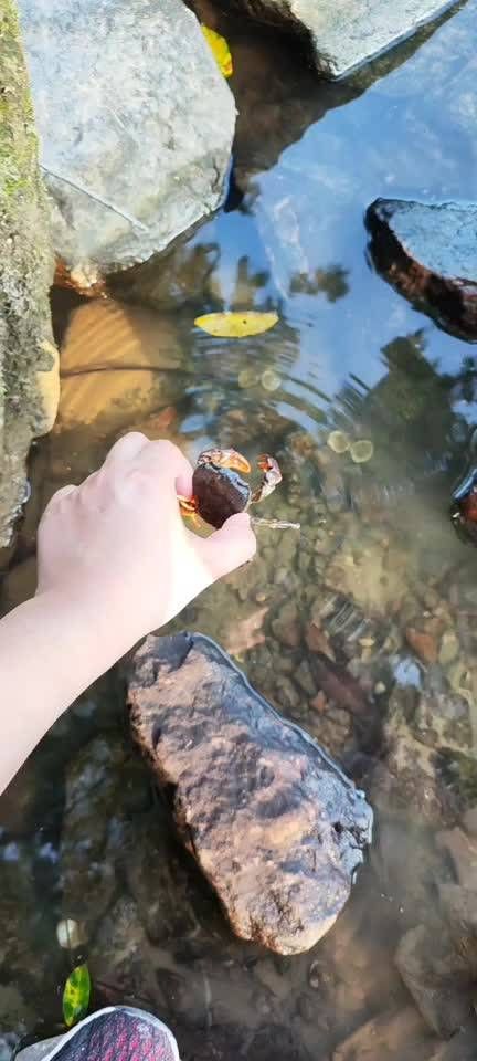 重庆市梁平区龙溪河-七里滩旅行图片 3