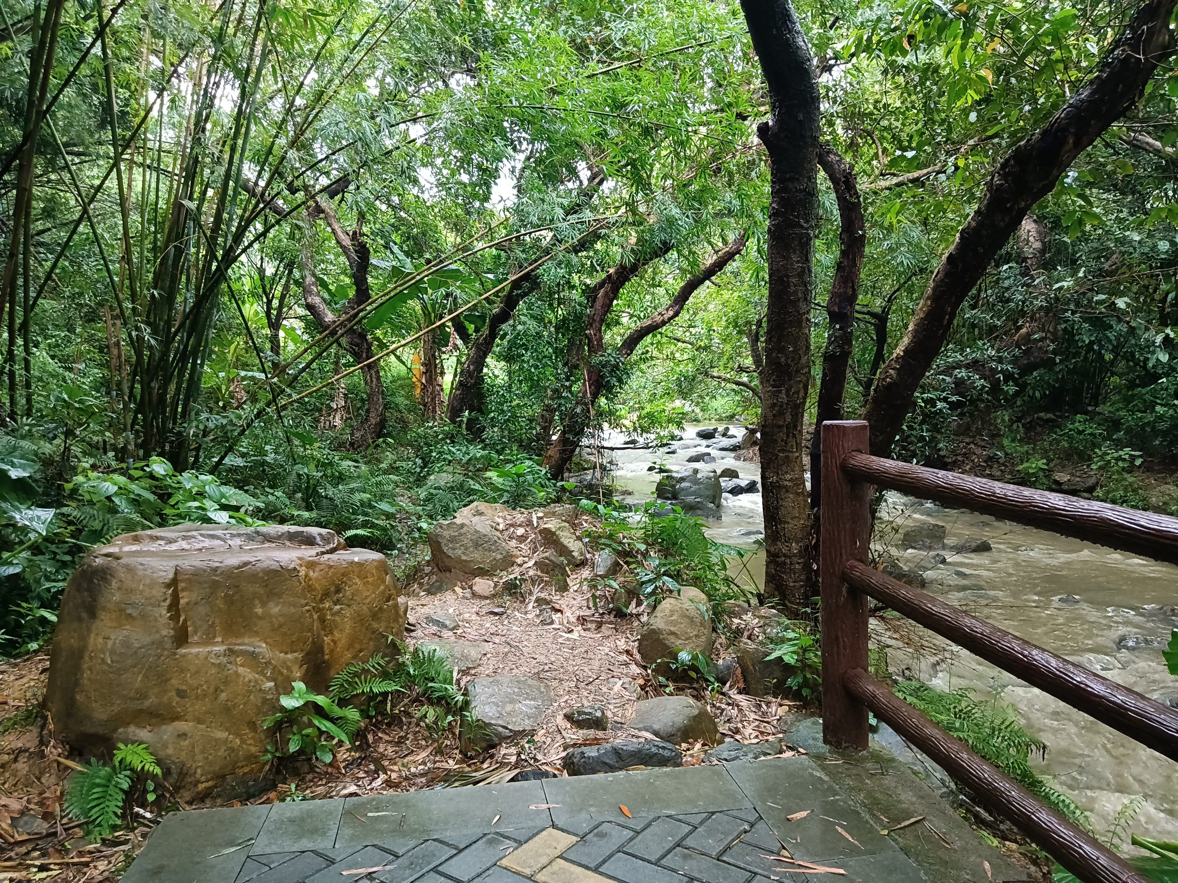 龙溪栈道旅行图片 1