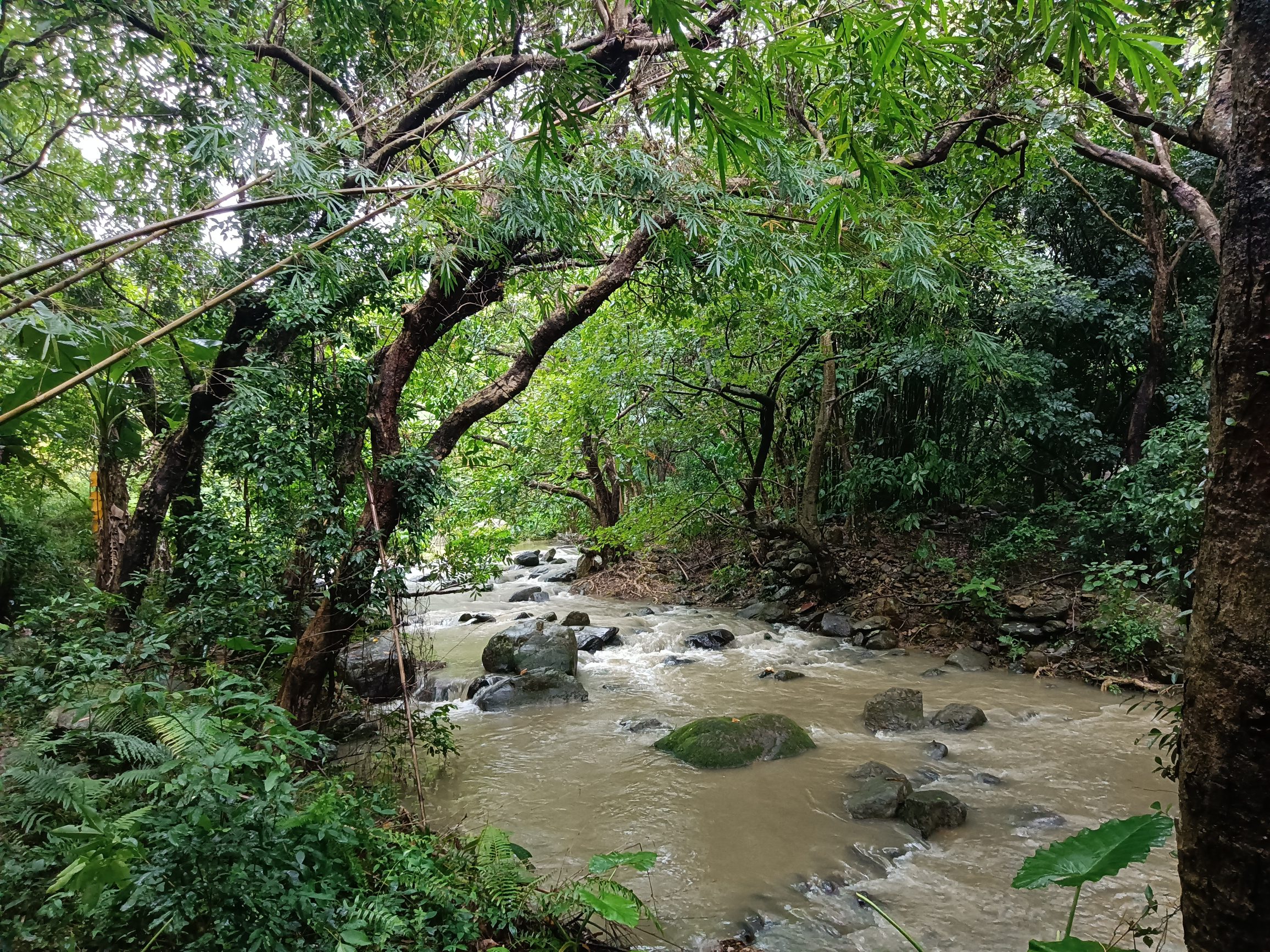 龙溪栈道旅行图片 2
