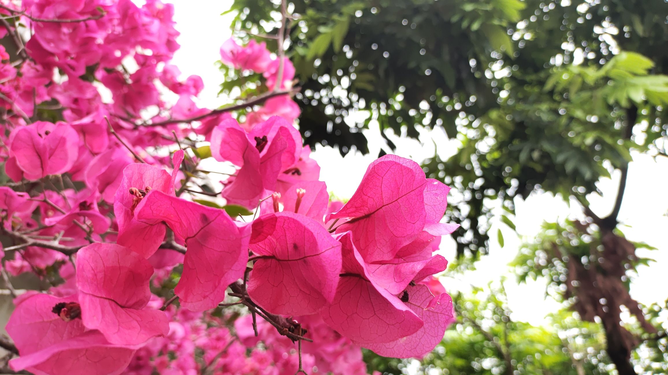 龙溪栈道旅行图片 1