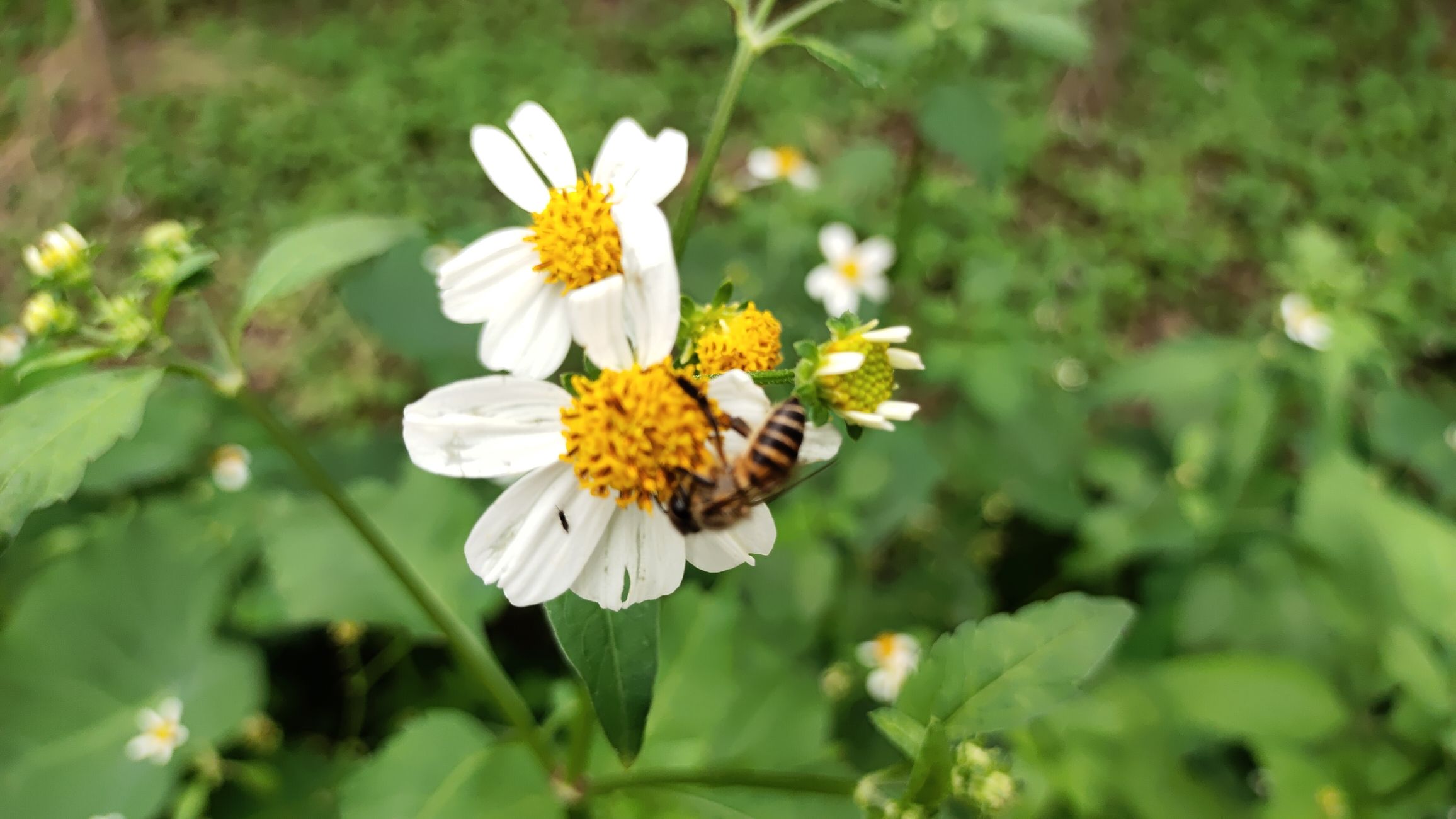 龙溪栈道旅行图片 2