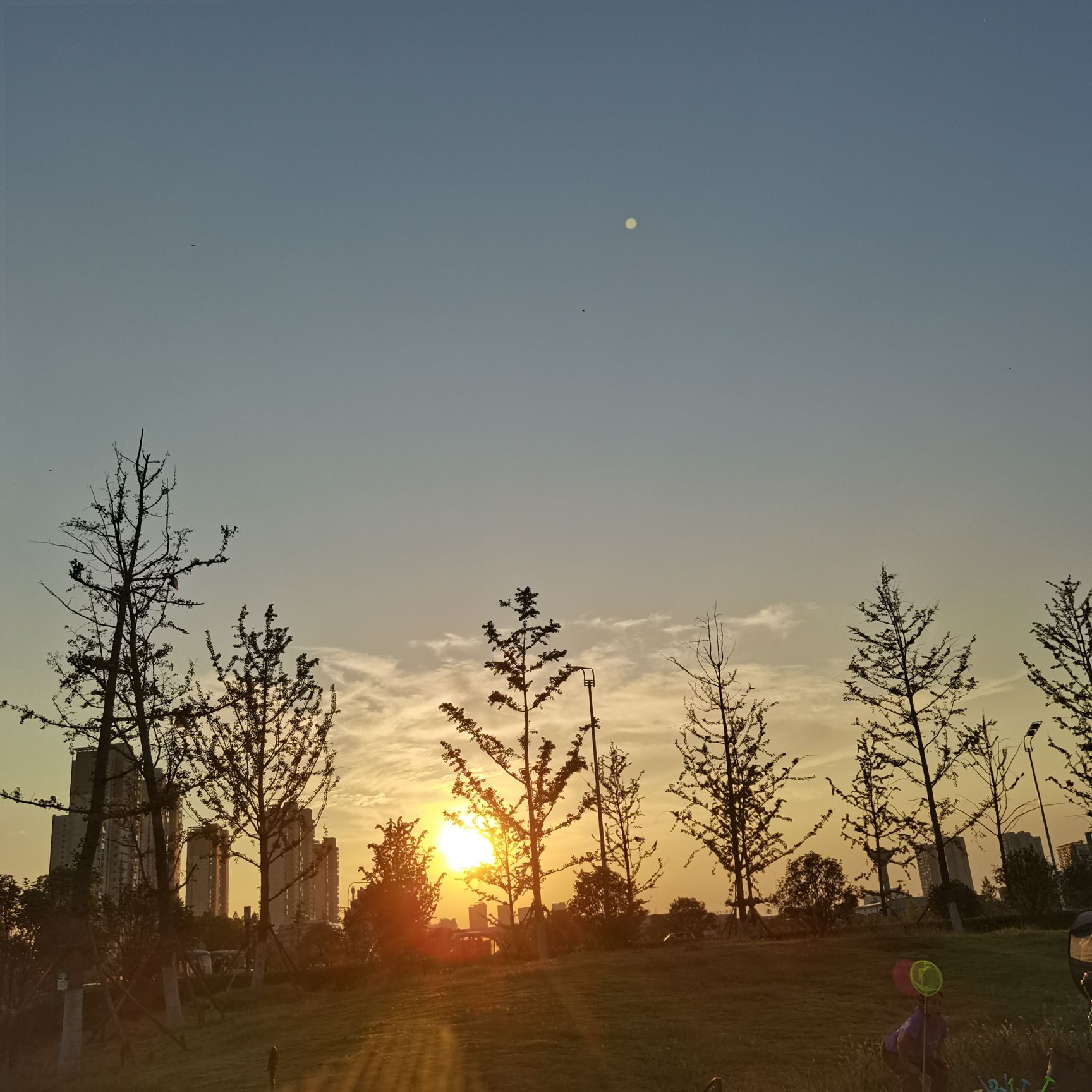 阜阳市金种子雕塑公园