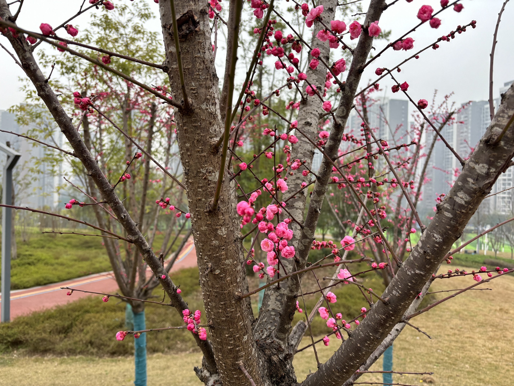 溉澜溪体育公园旅行图片 3
