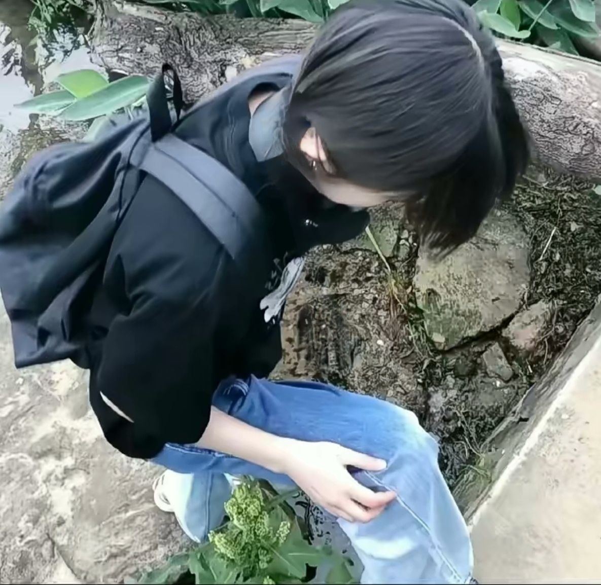 新桥公园旅行图片 3