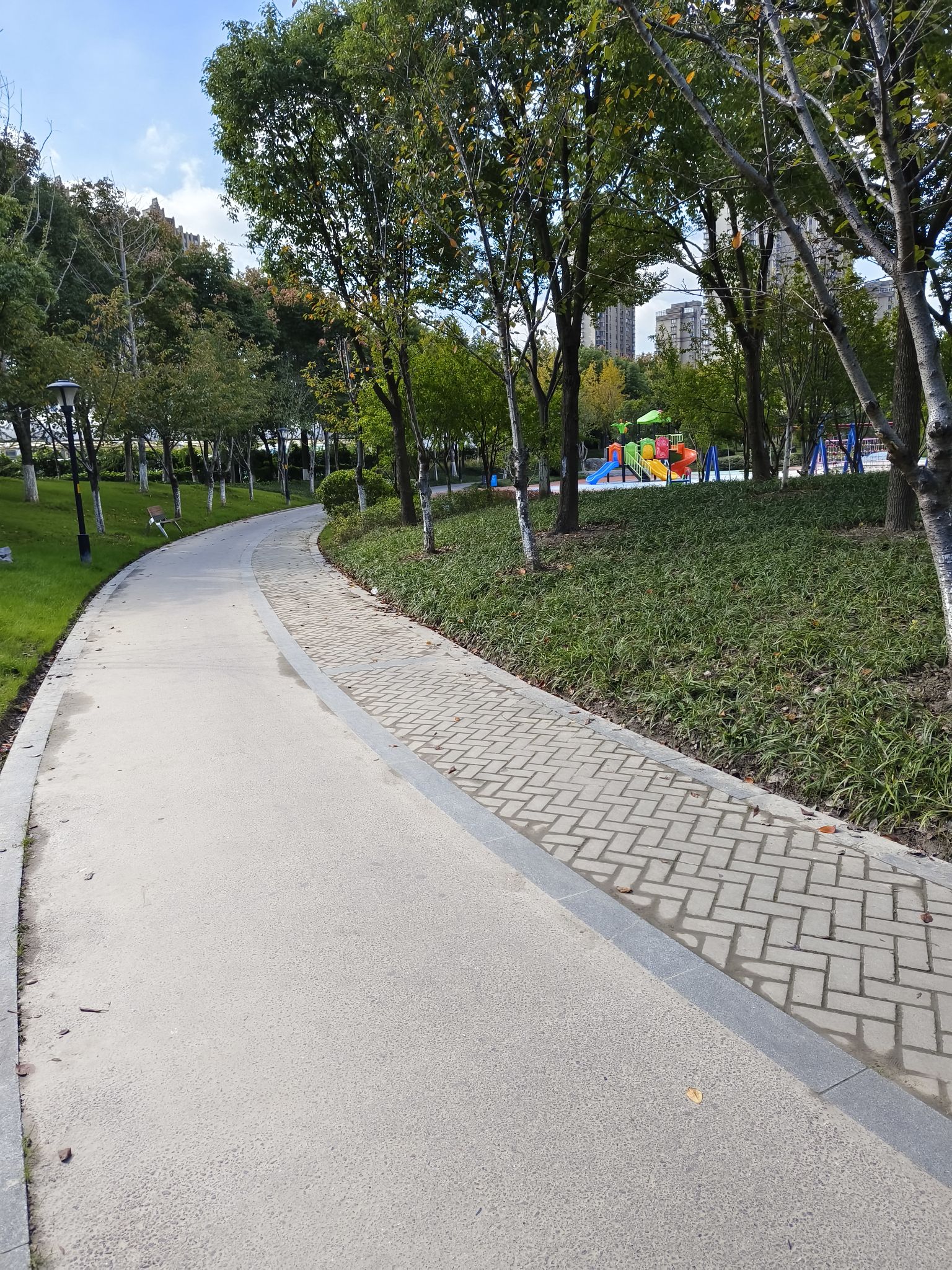 新桥公园旅行图片 1