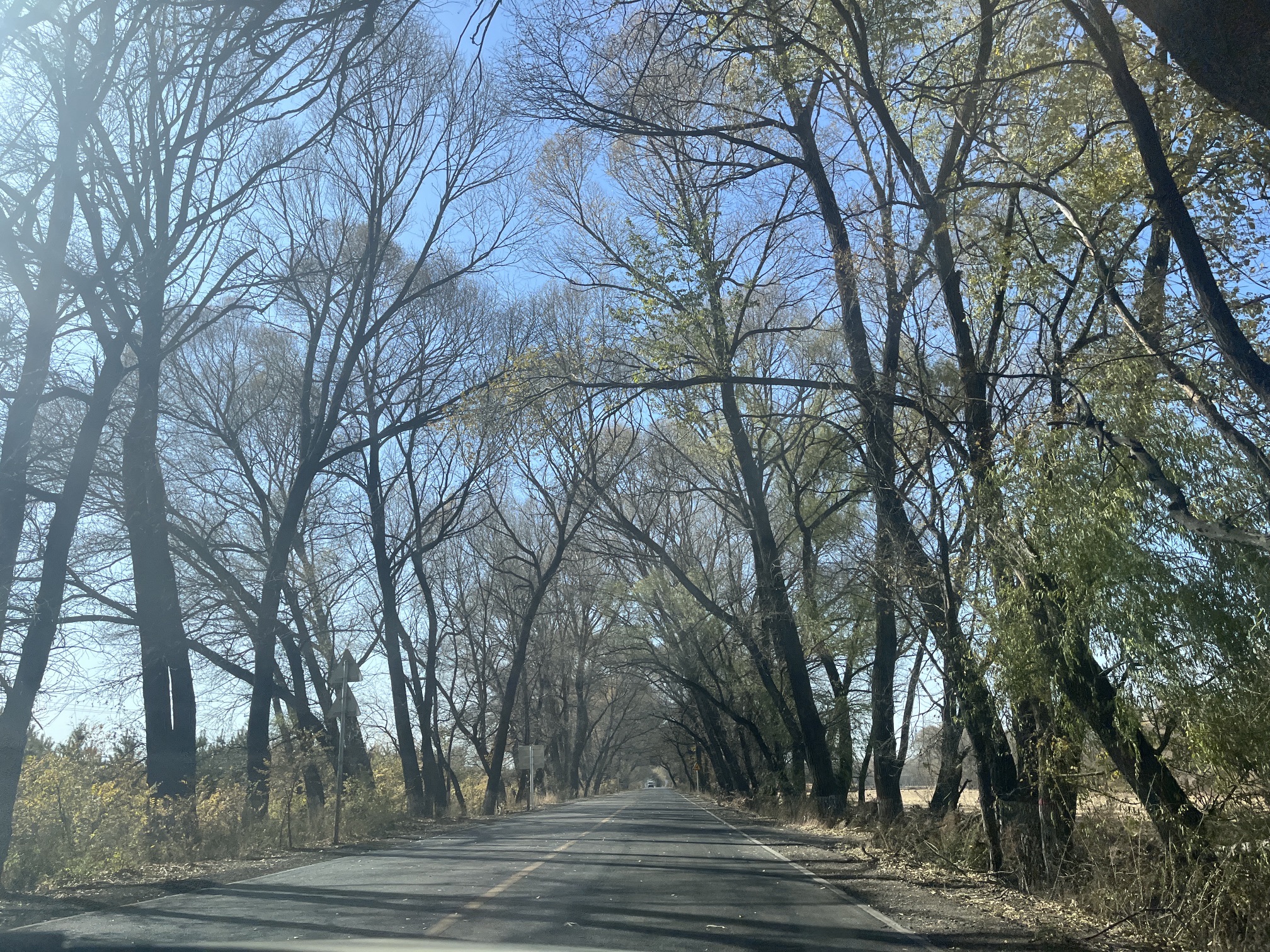 杀虎口风景名胜区旅行图片 3