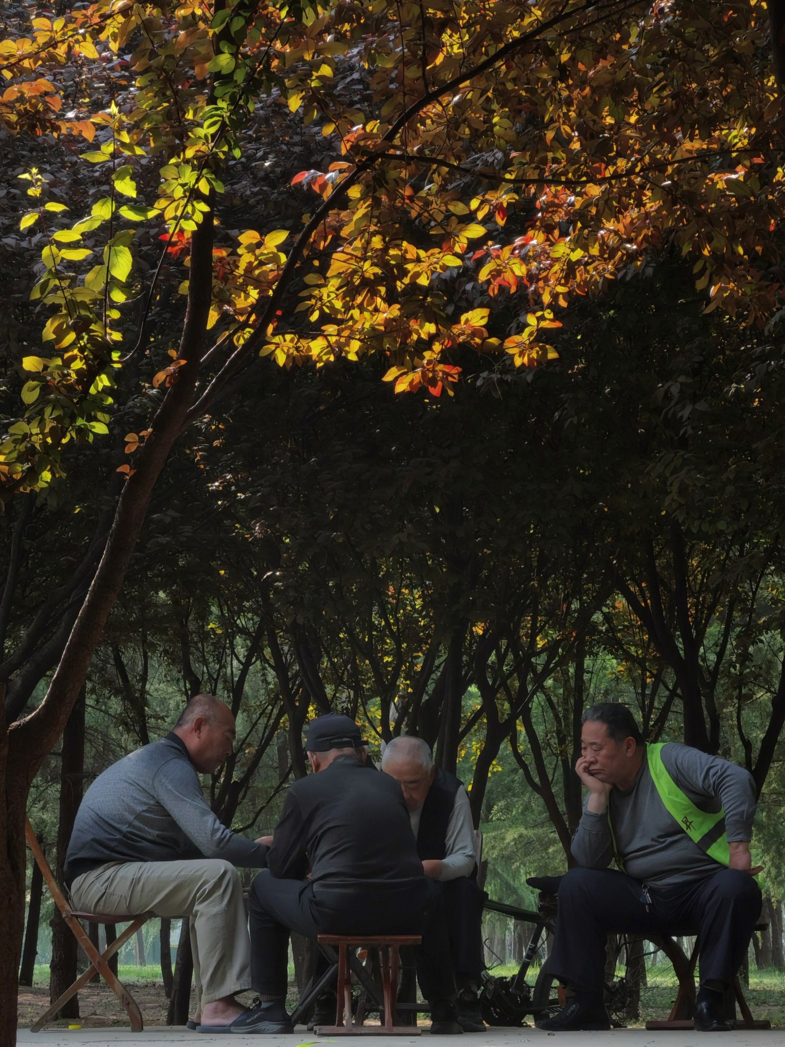 谷溪公园旅行图片 3