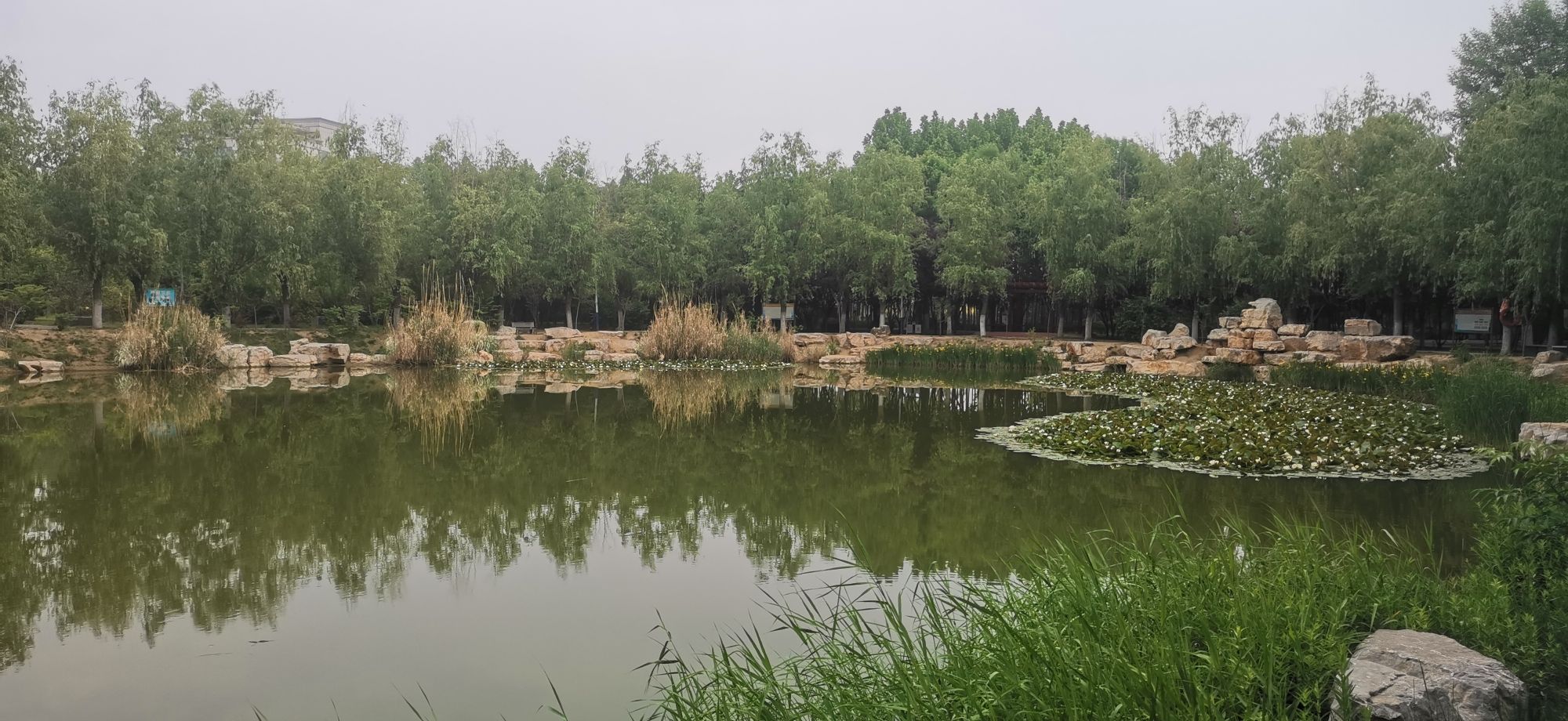 谷溪公园旅行图片 2