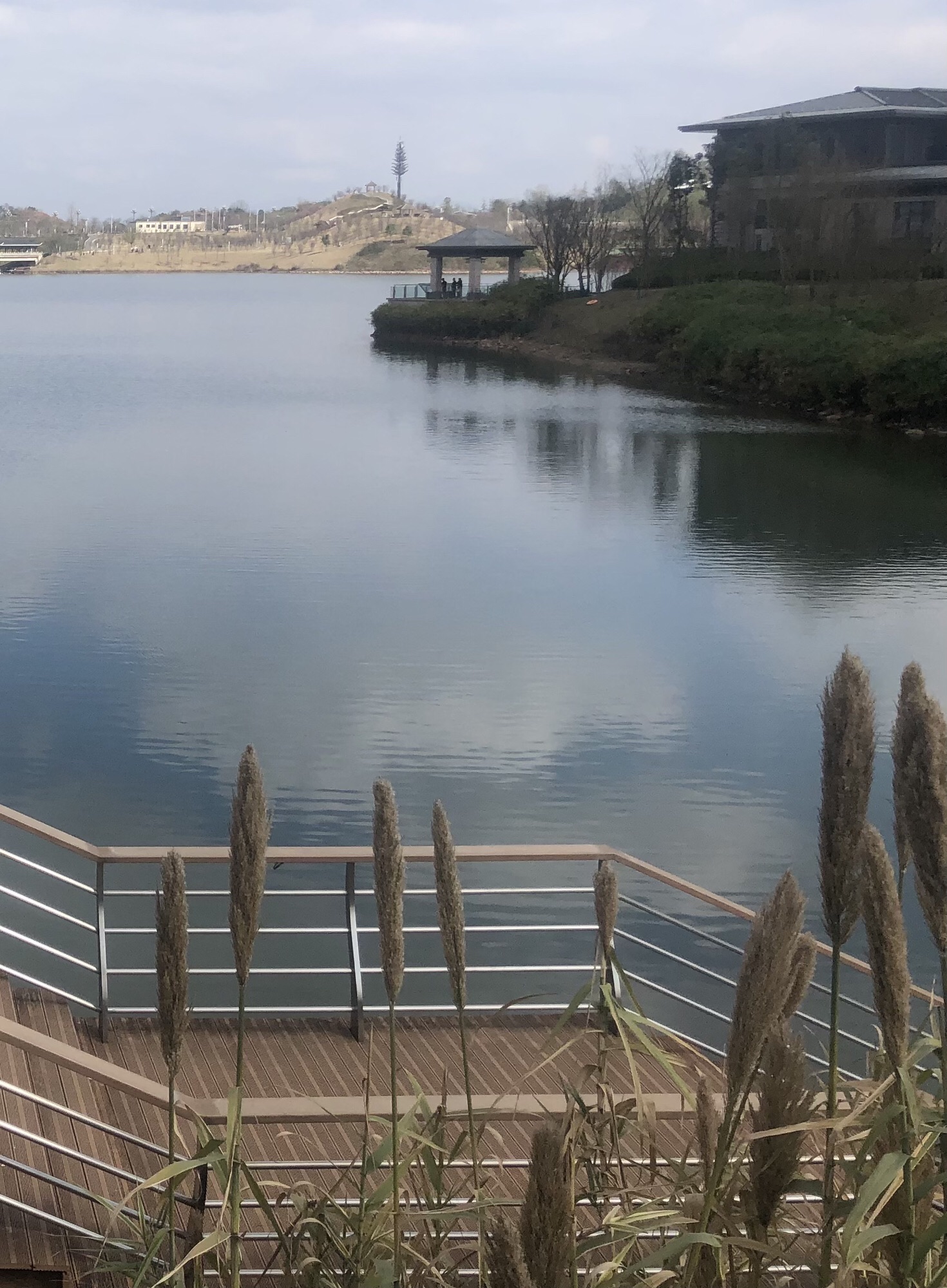 三合湖湿地公园旅行图片 1