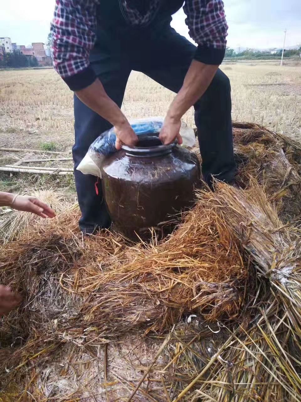 红凉亭旅行图片 1