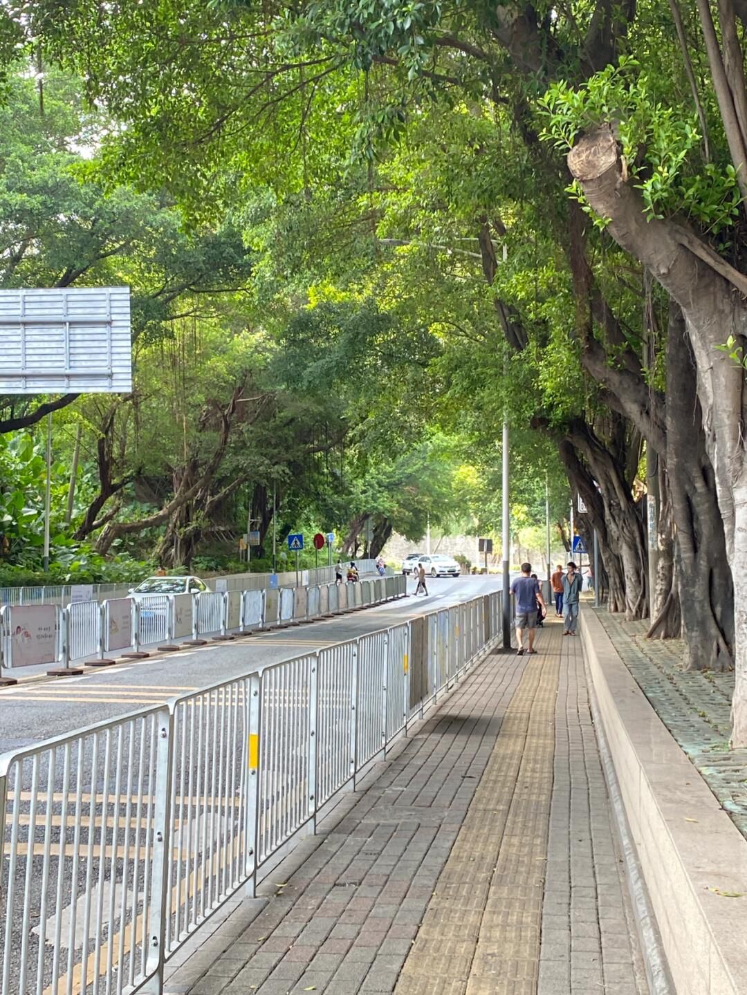中丝园旅行图片 1
