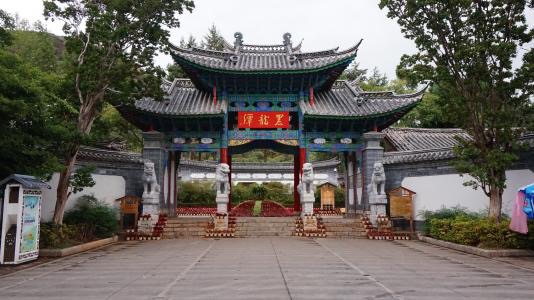中华梅花品种园旅行图片 1