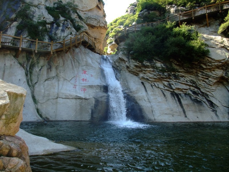 中华梅花品种园旅行图片 2
