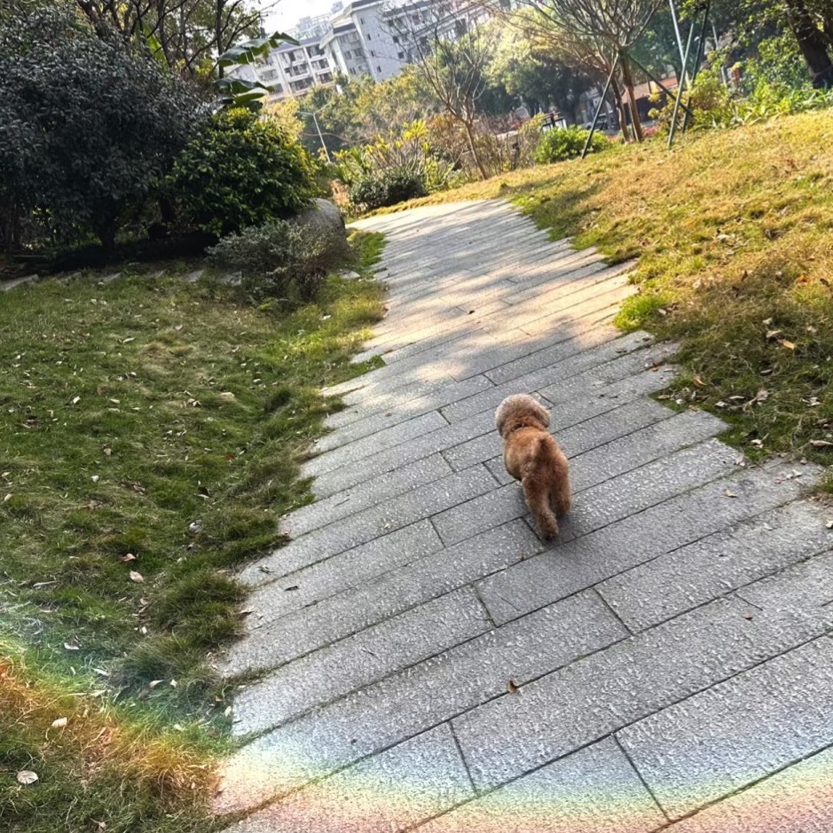 福州南禅山城市公园旅行图片 1