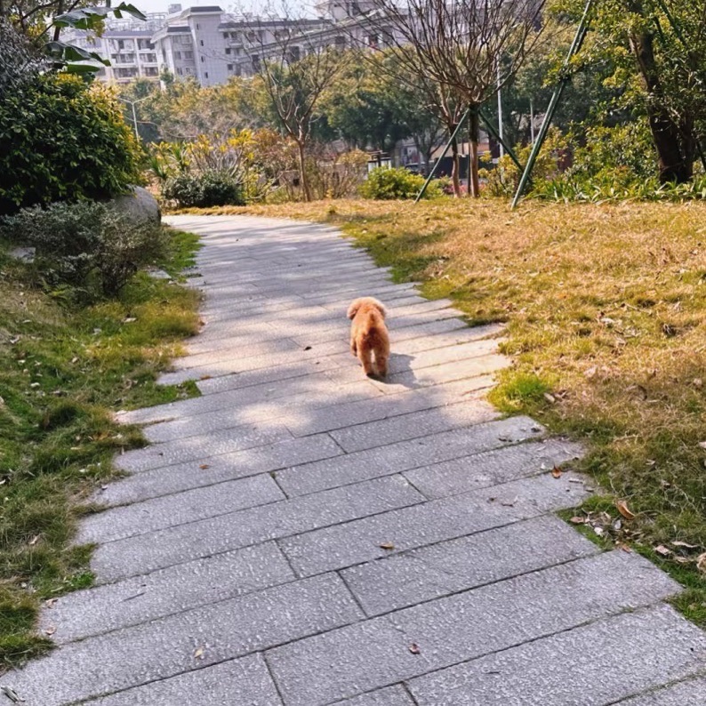 福州南禅山城市公园旅行图片 2