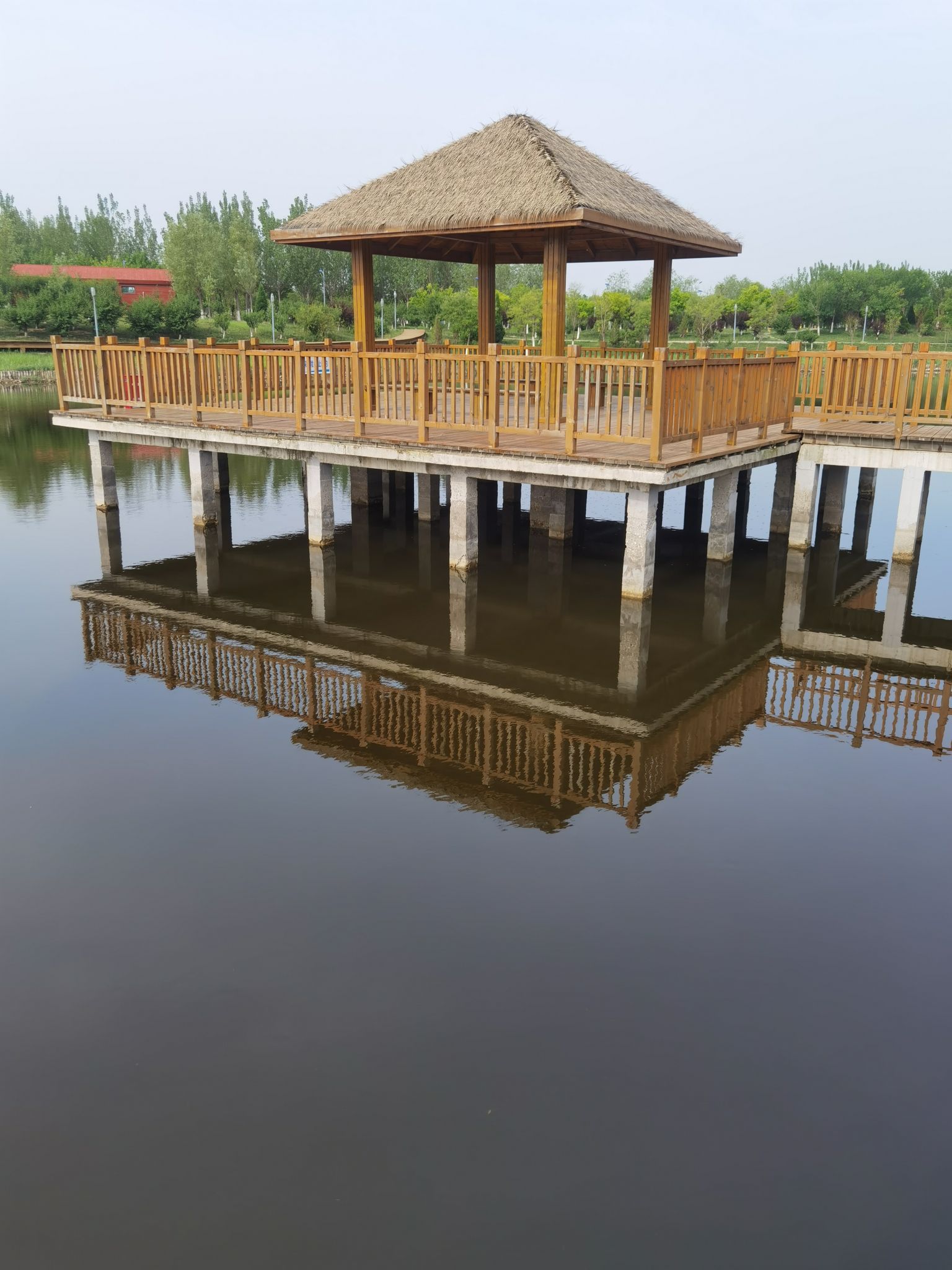澜清溪公园旅行图片 3
