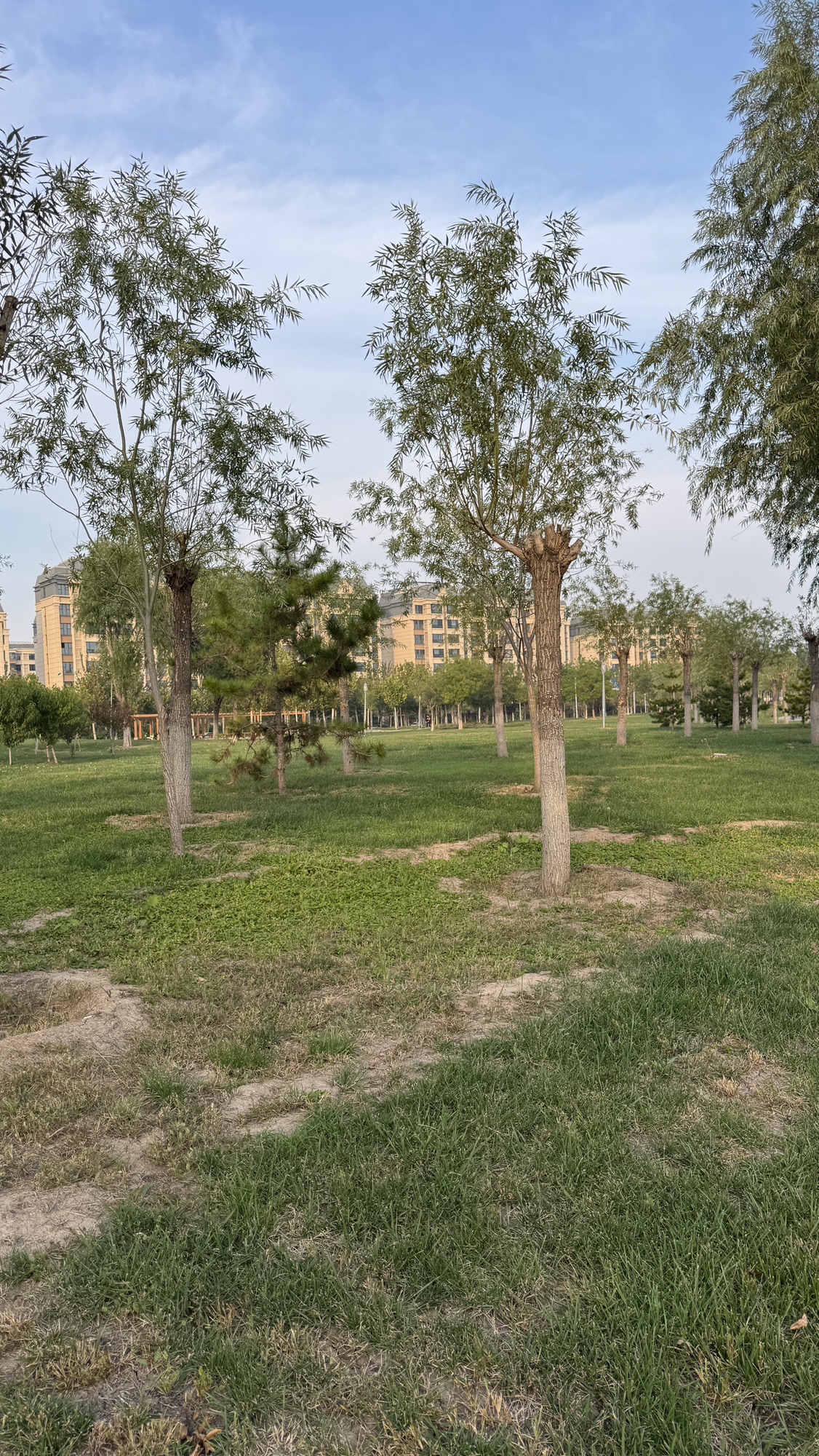澜清溪公园旅行图片 2
