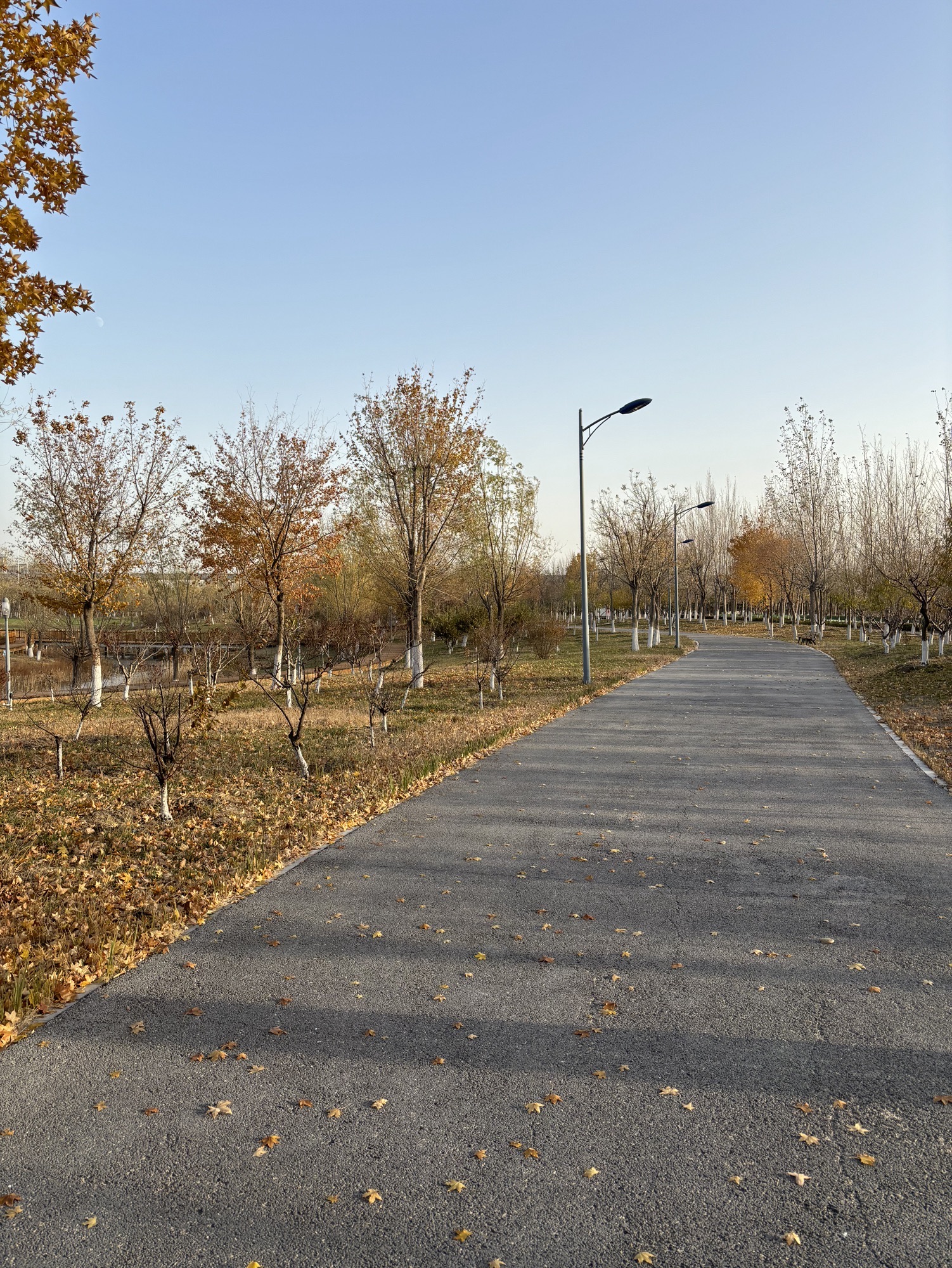 澜清溪公园旅行图片 2
