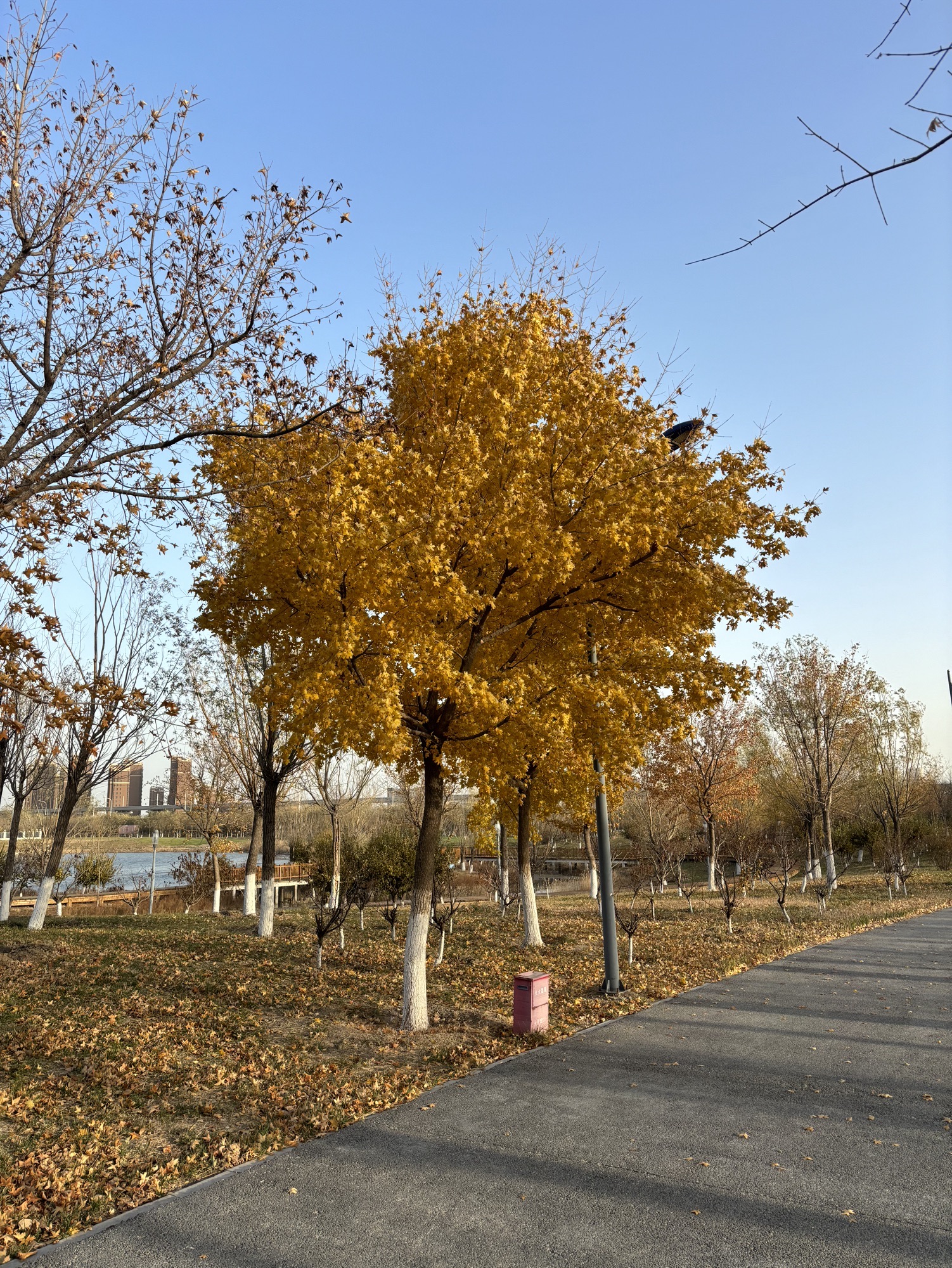 澜清溪公园