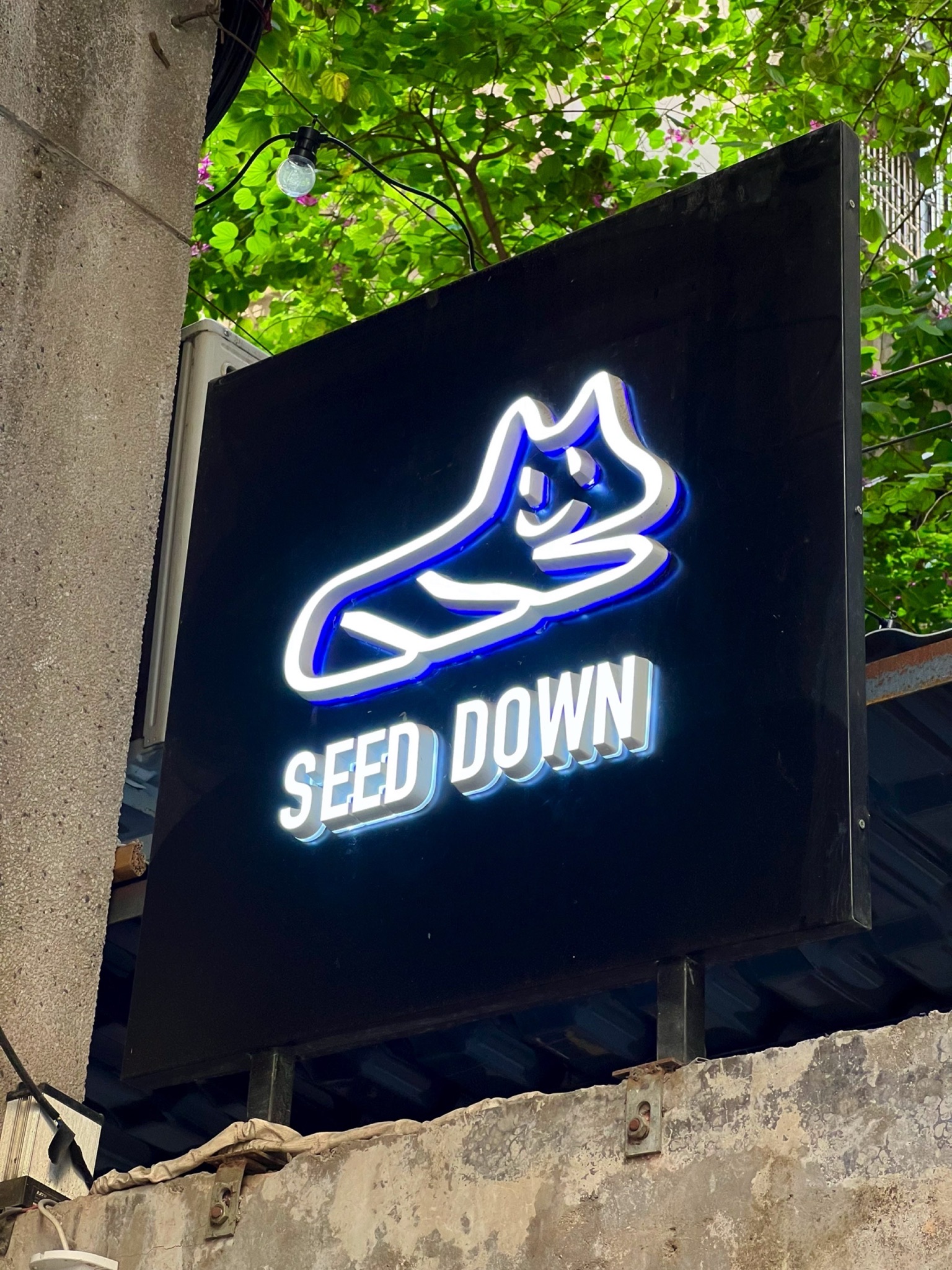 SEED DOWN Cafe (DongShanKou Branch)