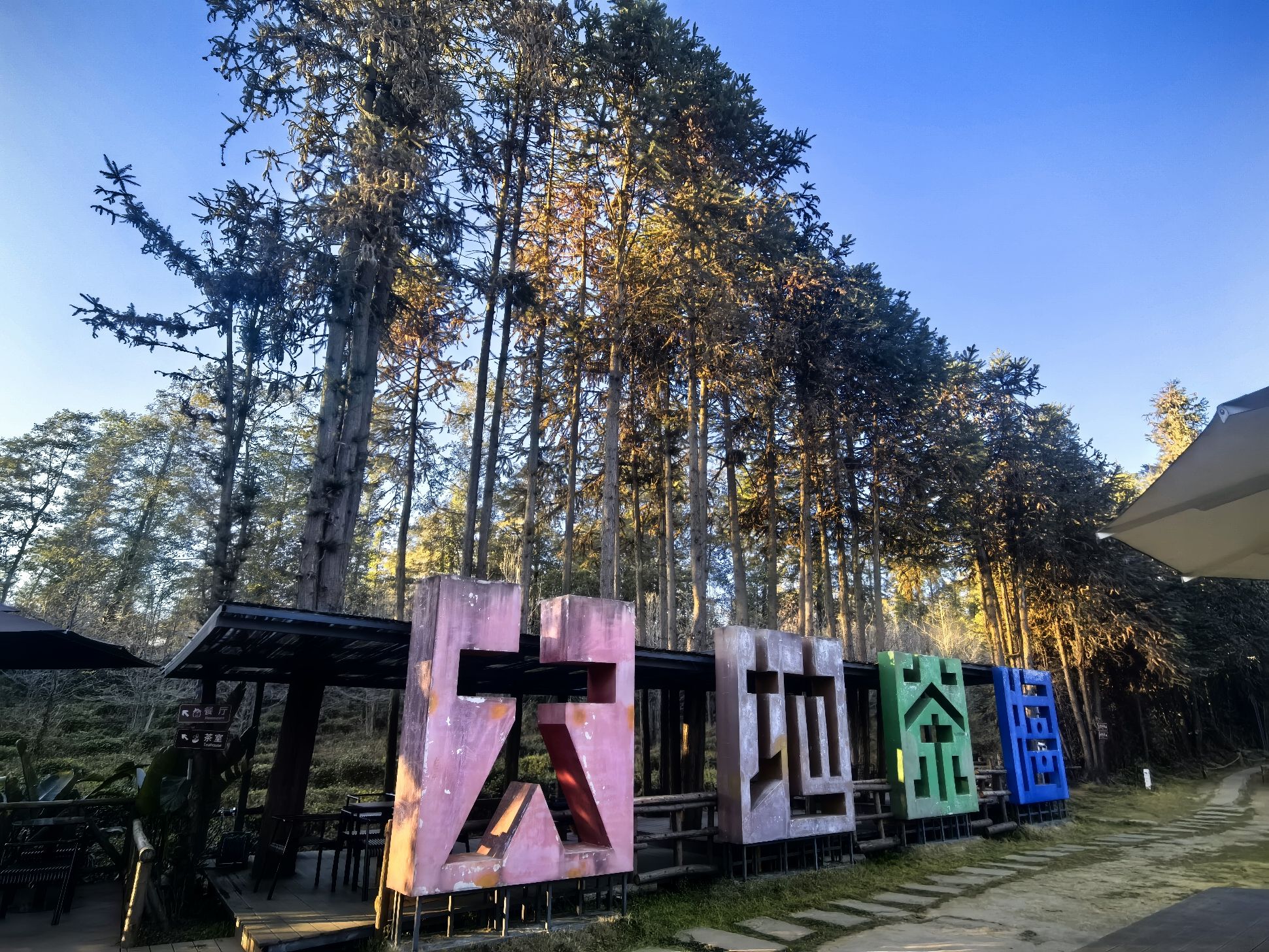 大地茶海森林康养基地景点图片
