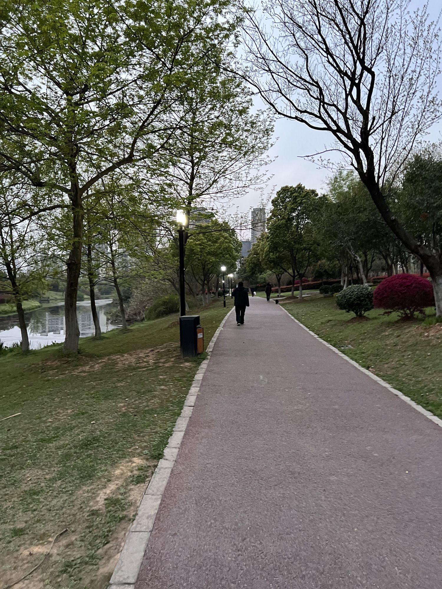 秀水河公园旅行图片 3