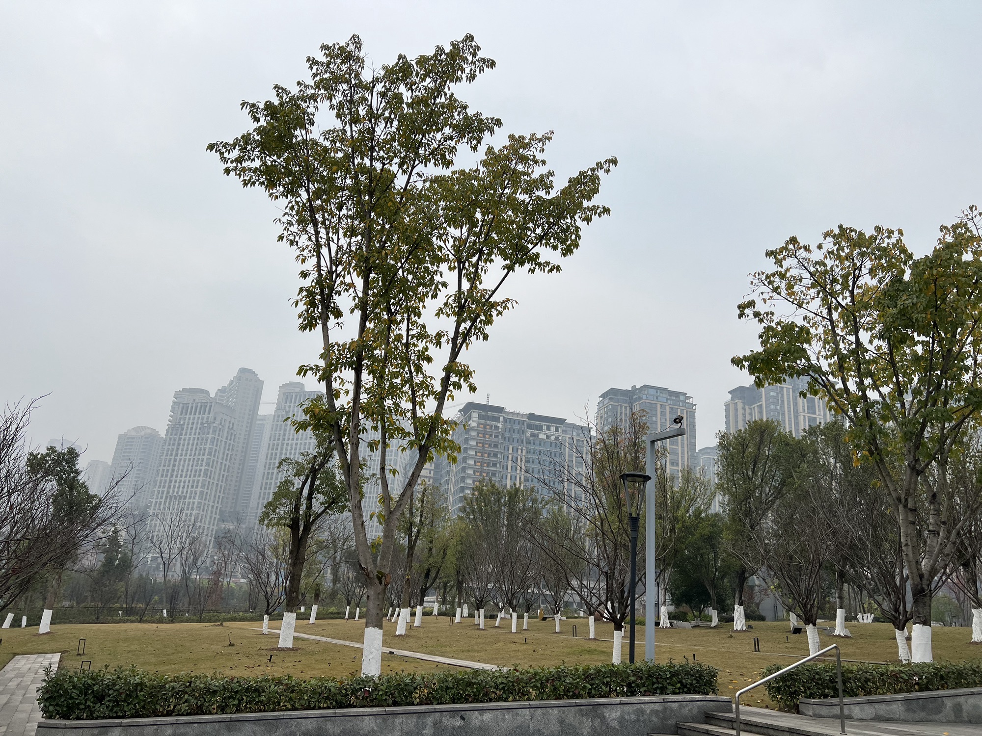 滨江广场旅行图片 3