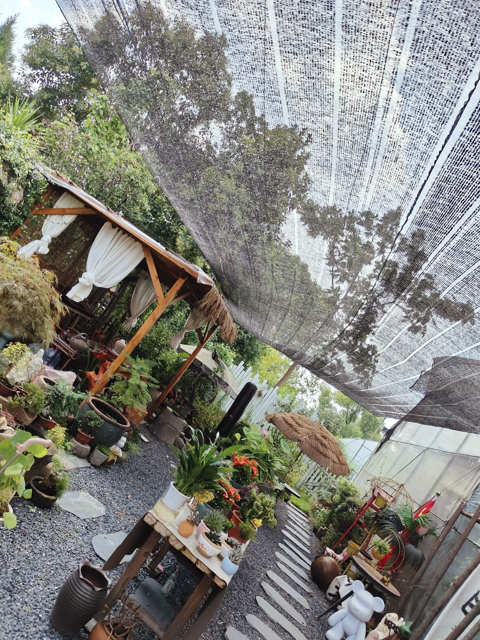 多肉多植物园旅行图片 1