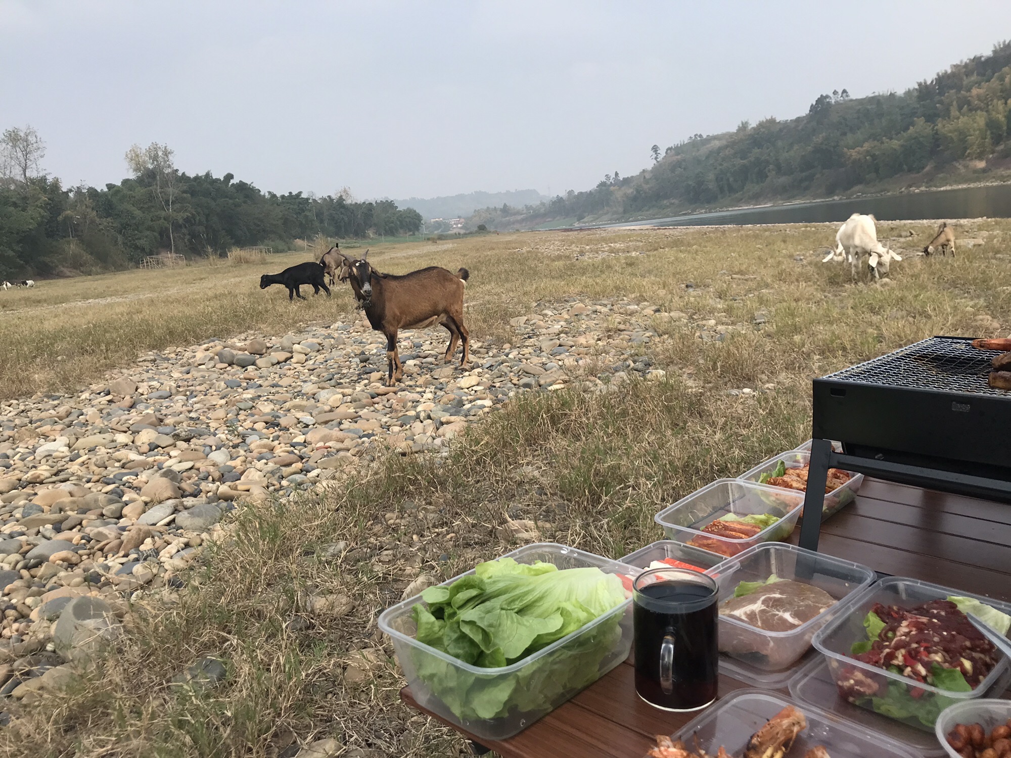晏家坝自然生态大草原旅行图片 3